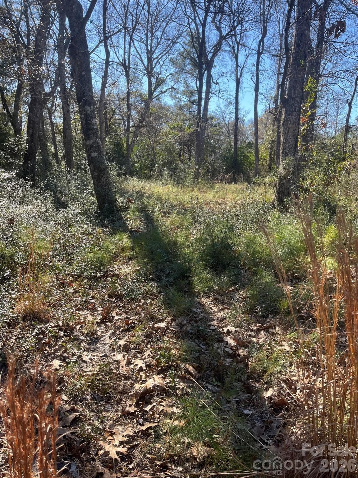 Lot at Calabash, photo 3 of 11