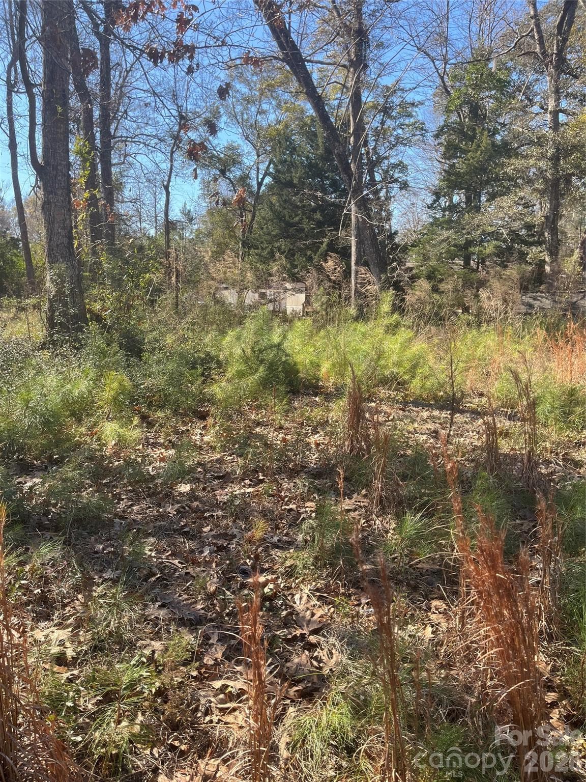 Lot at Calabash, photo 4 of 11