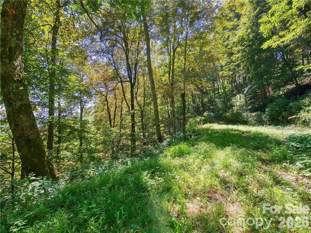 Lot at Maggie Valley, photo 6 of 17