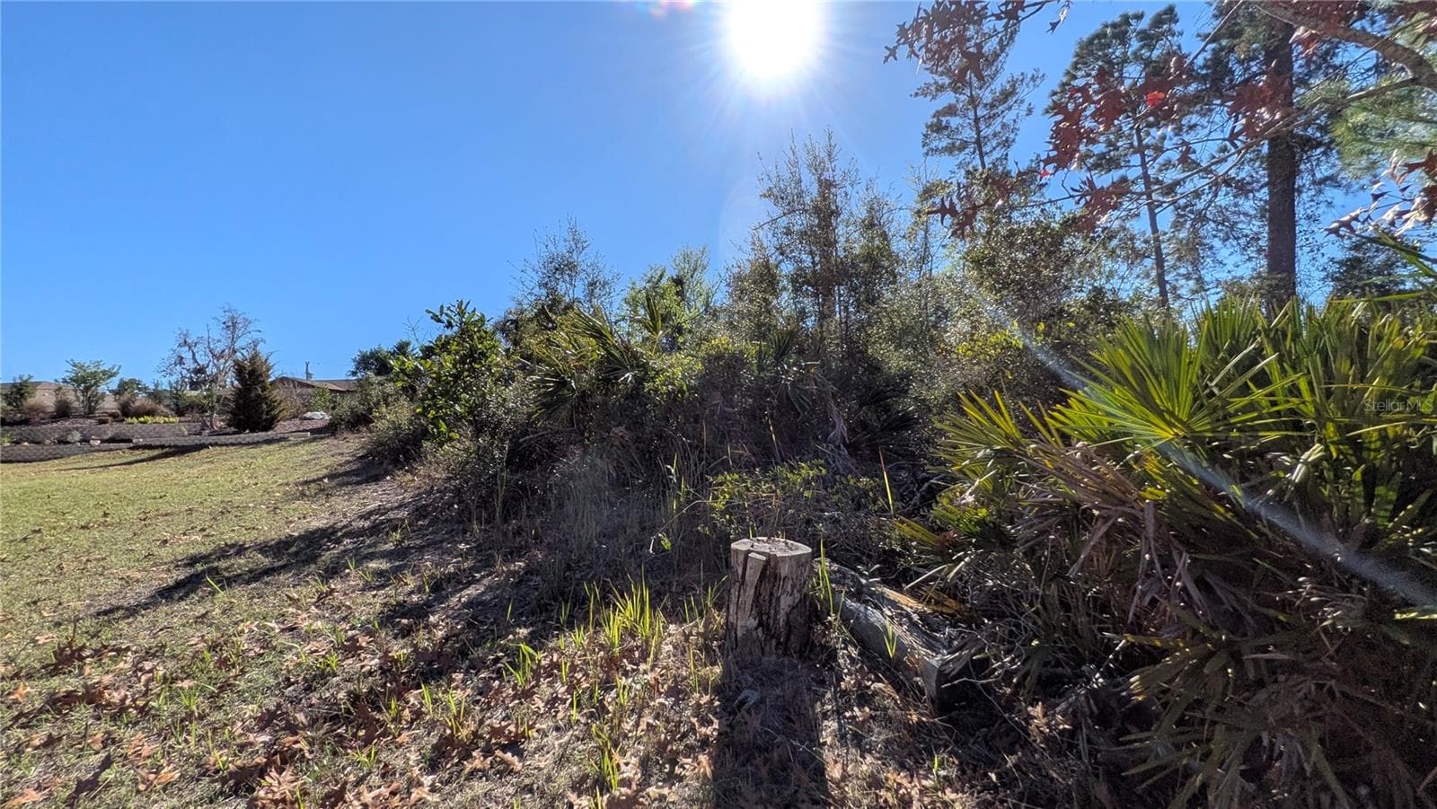 Land at 13014 HANLEY DR, SPRING HILL, photo 5 of 11
