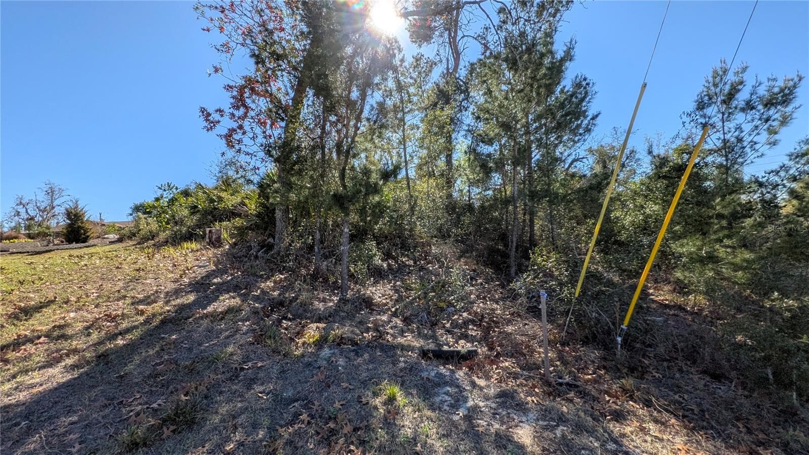 Land at 13014 HANLEY DR, SPRING HILL, photo 6 of 11