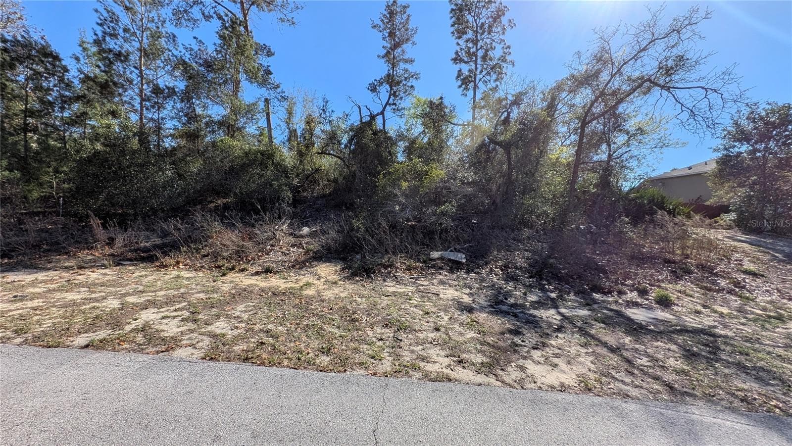 Land at 13014 HANLEY DR, SPRING HILL, photo 9 of 11