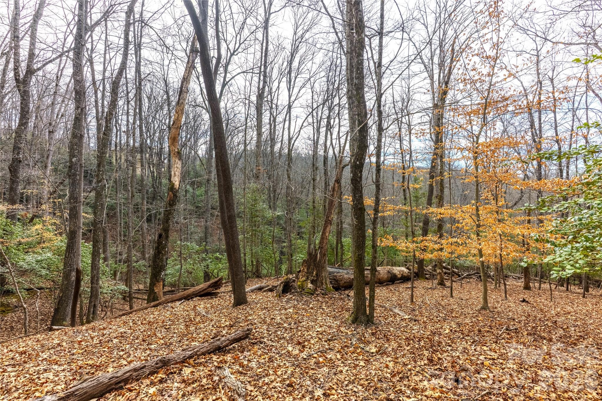 Lot at Pisgah Forest, photo 3 of 4