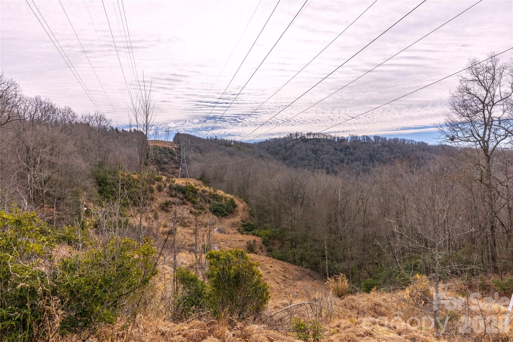 Lot at Pisgah Forest, photo 4 of 4