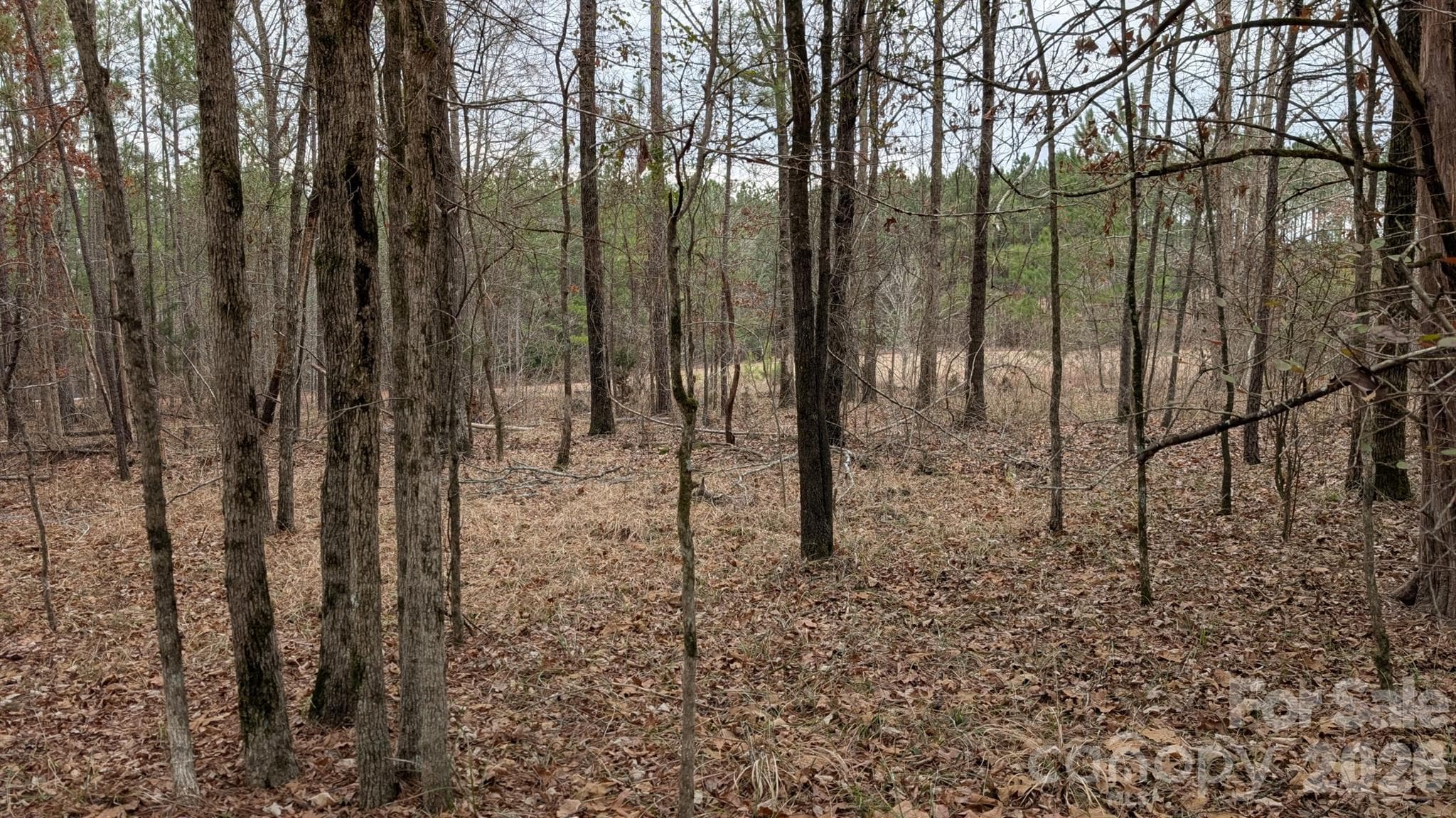Lot at TBD Retreat Way, Ridgeway, photo 10 of 22