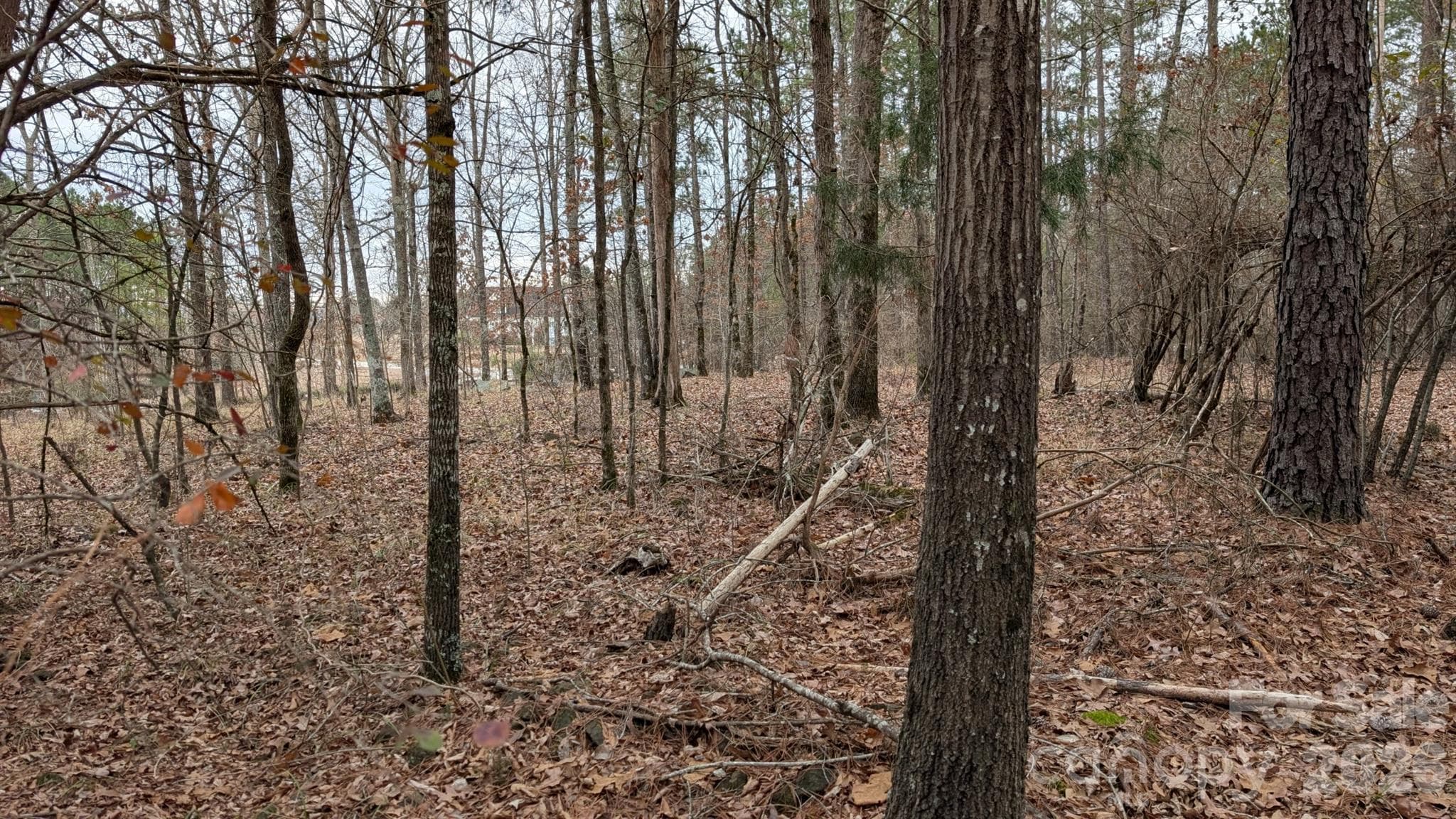 Lot at TBD Retreat Way, Ridgeway, photo 11 of 22