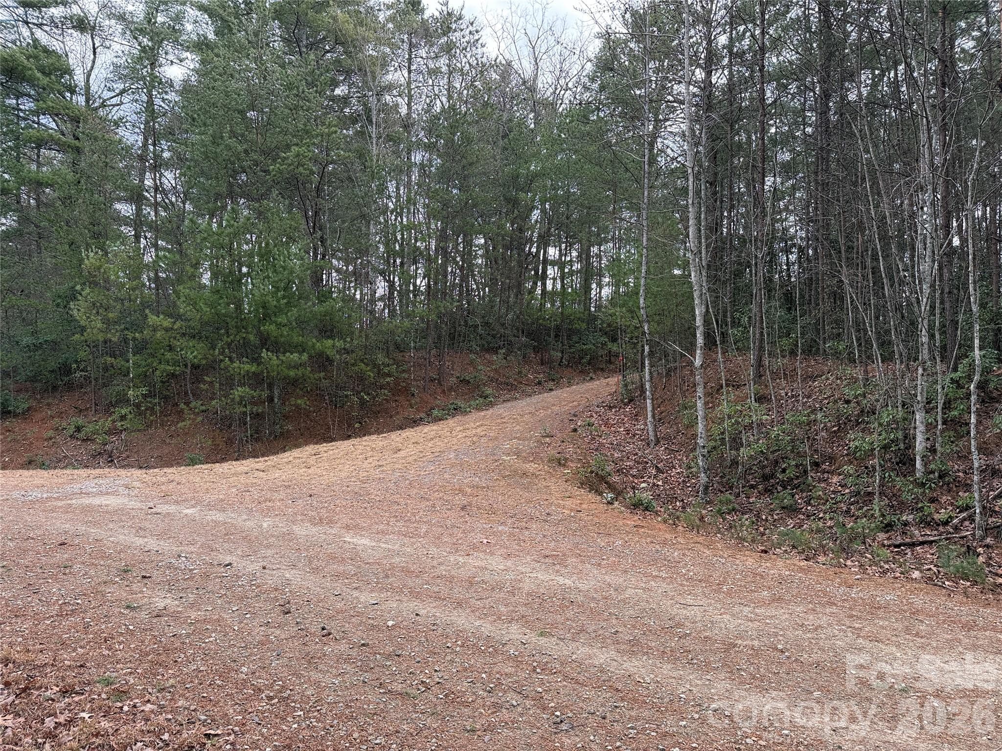 Easily Accessible with Driveway in Place - TBD Deer Antler Drive, Purlear