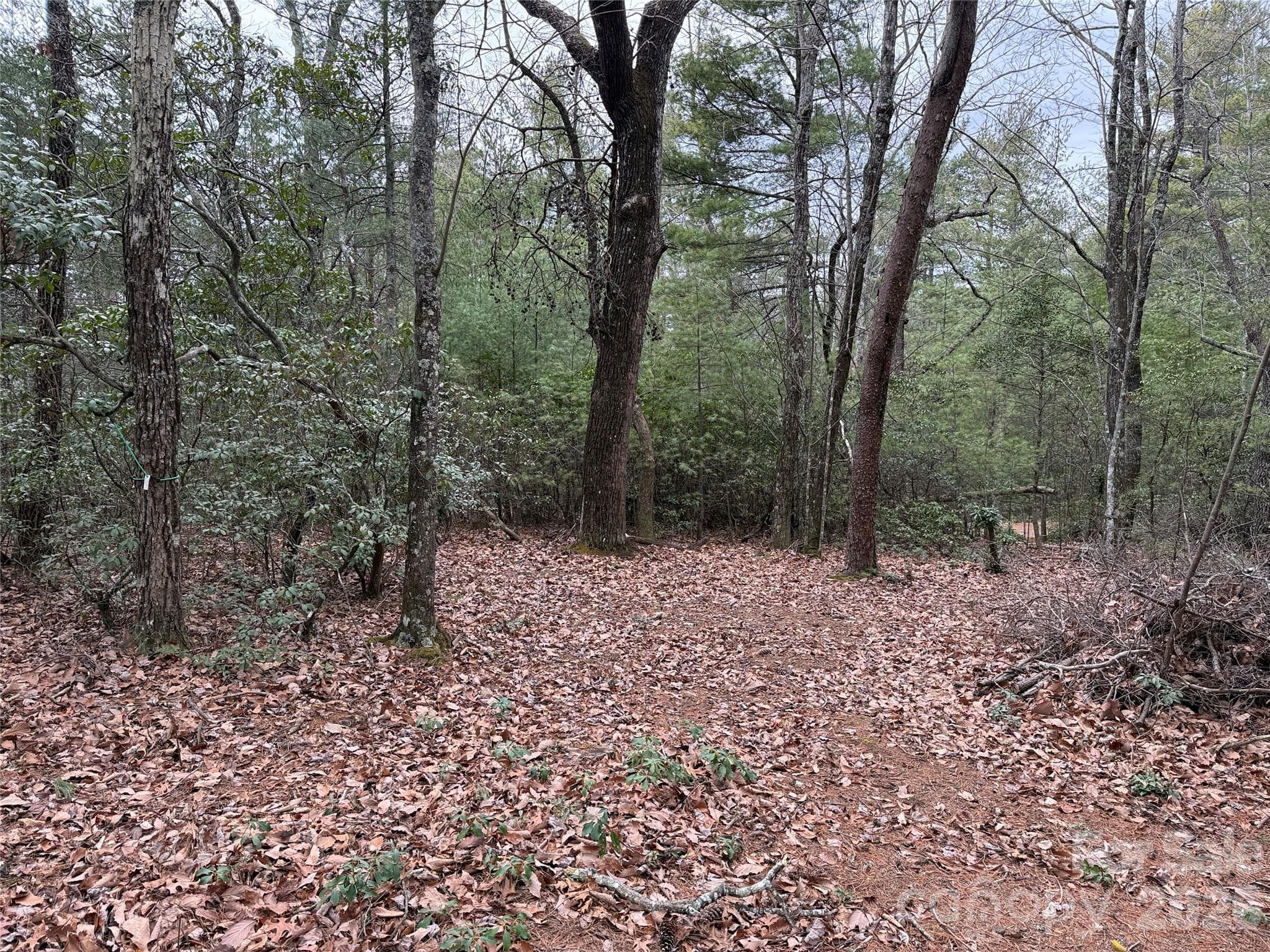 Lot at TBD Deer Antler Drive, Purlear, photo 5 of 39