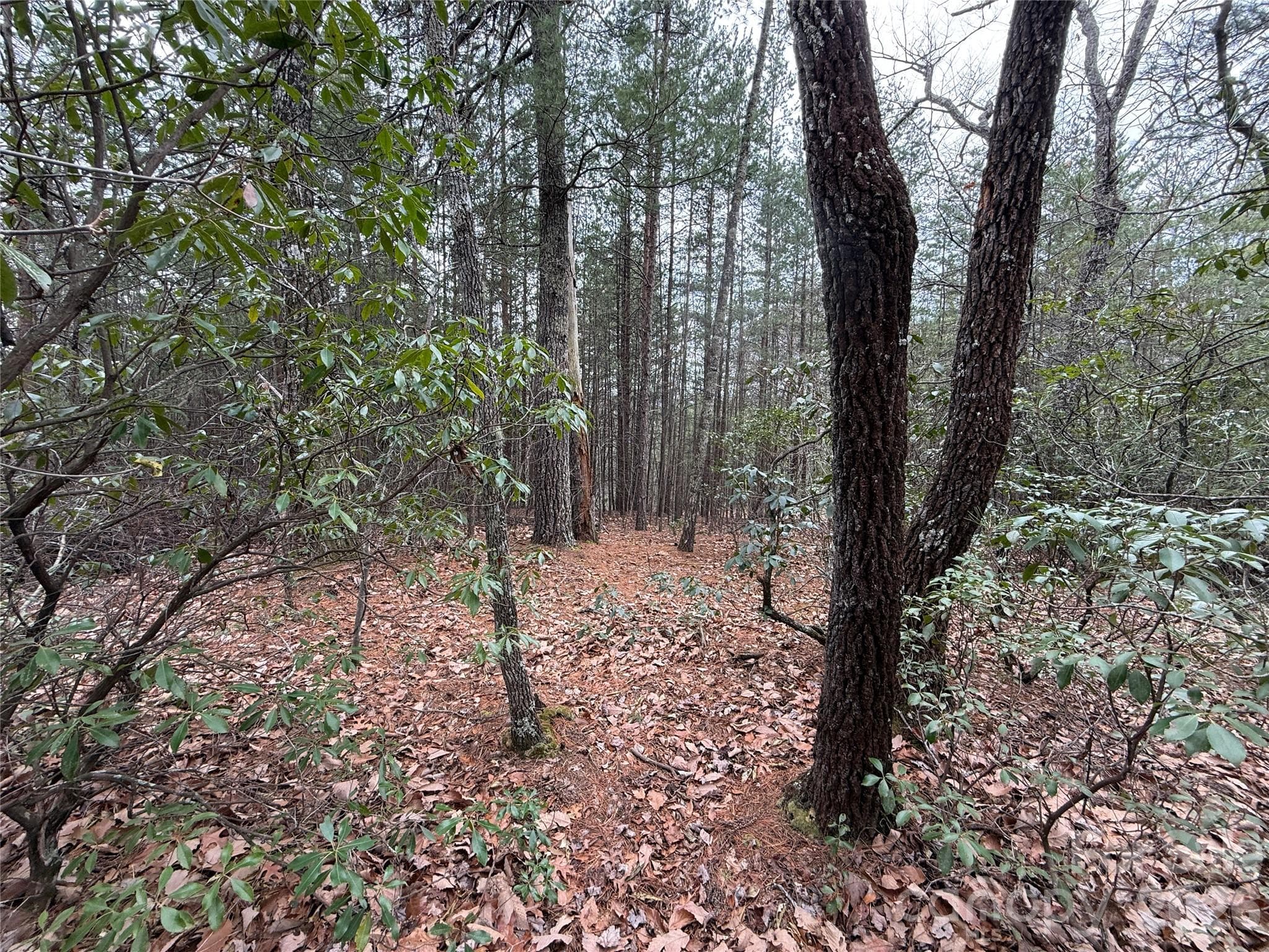 Lot at TBD Deer Antler Drive, Purlear, photo 6 of 39