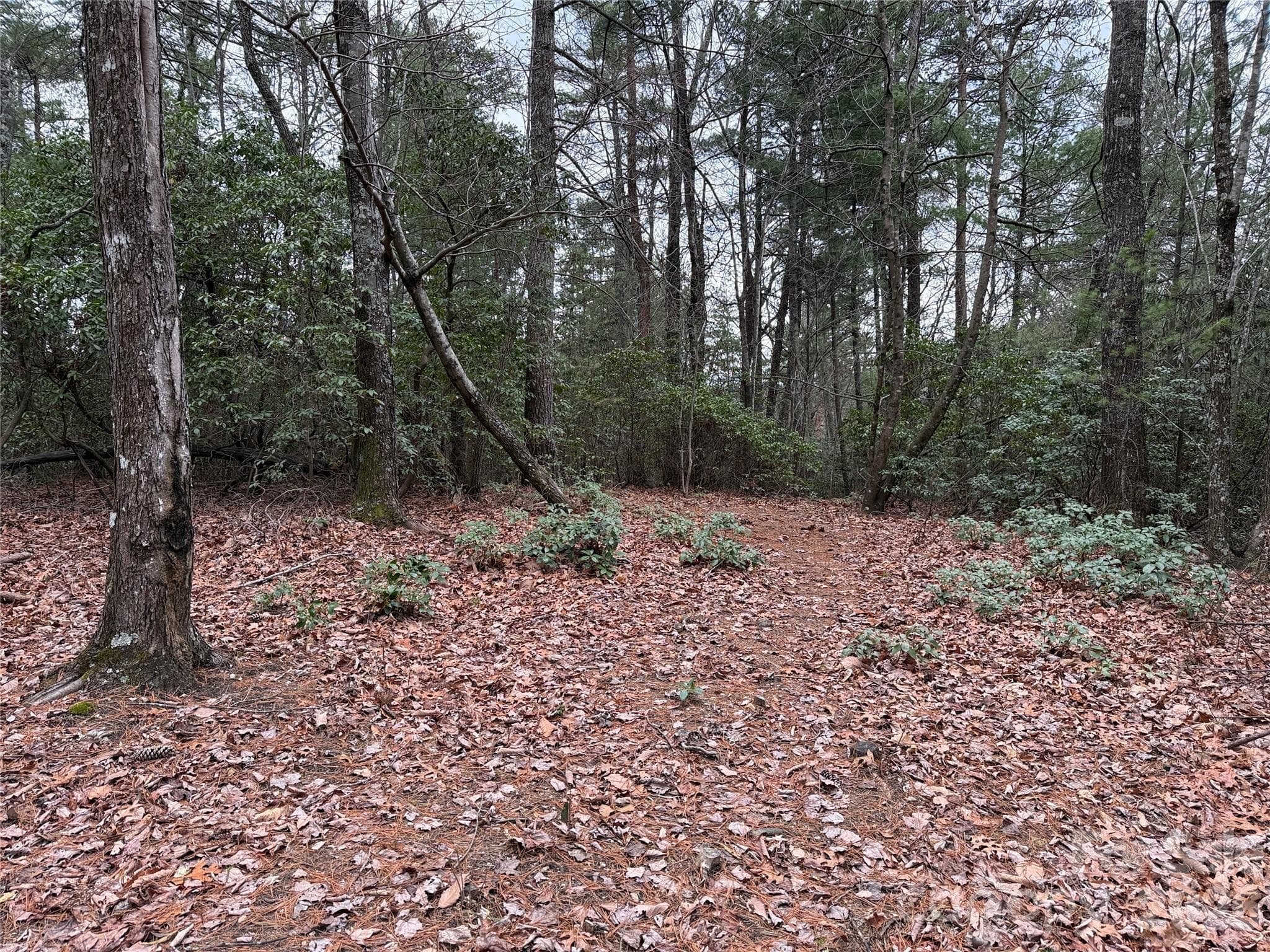 Lot at TBD Deer Antler Drive, Purlear, photo 7 of 39