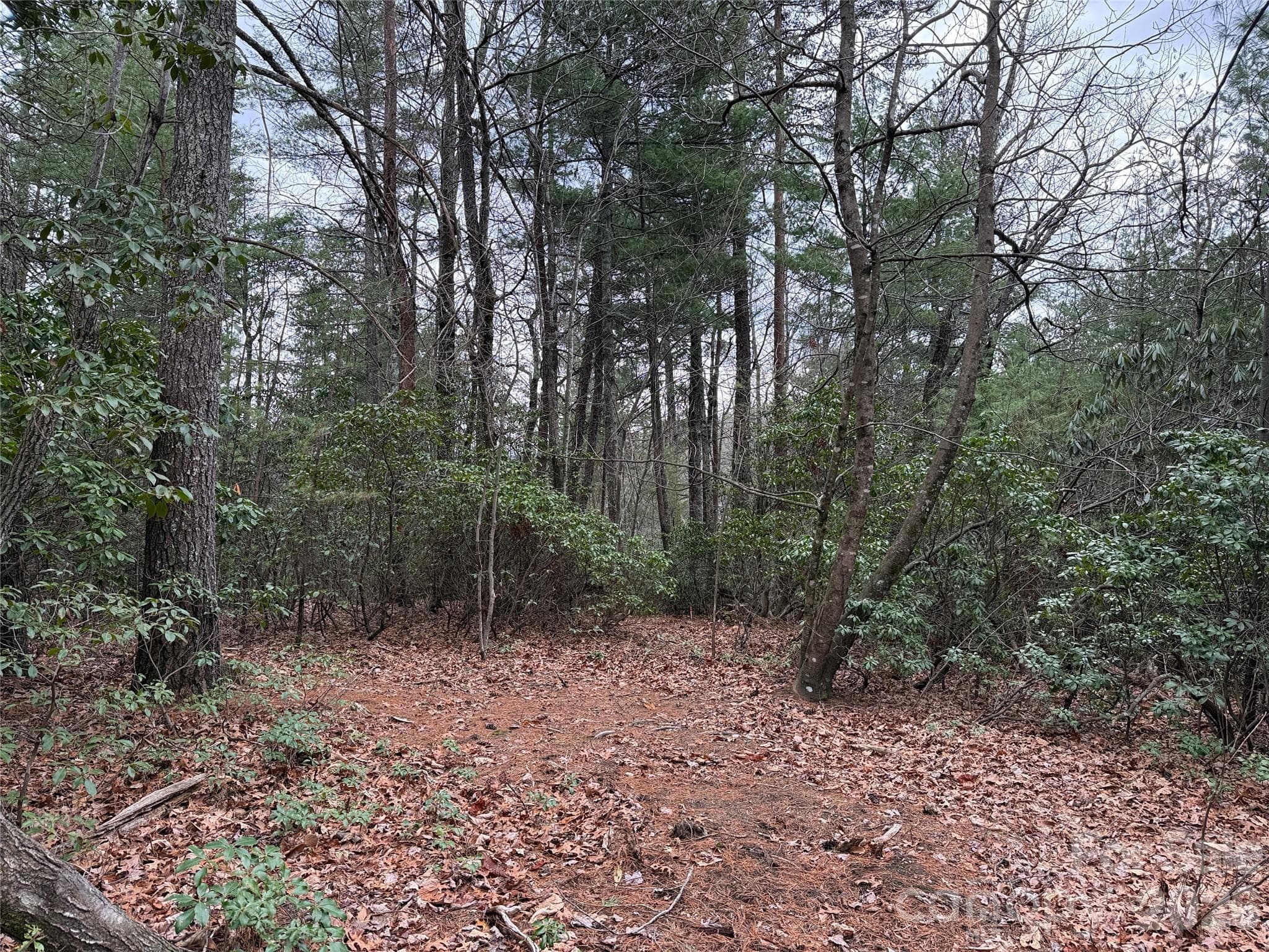 Lot at TBD Deer Antler Drive, Purlear, photo 9 of 39