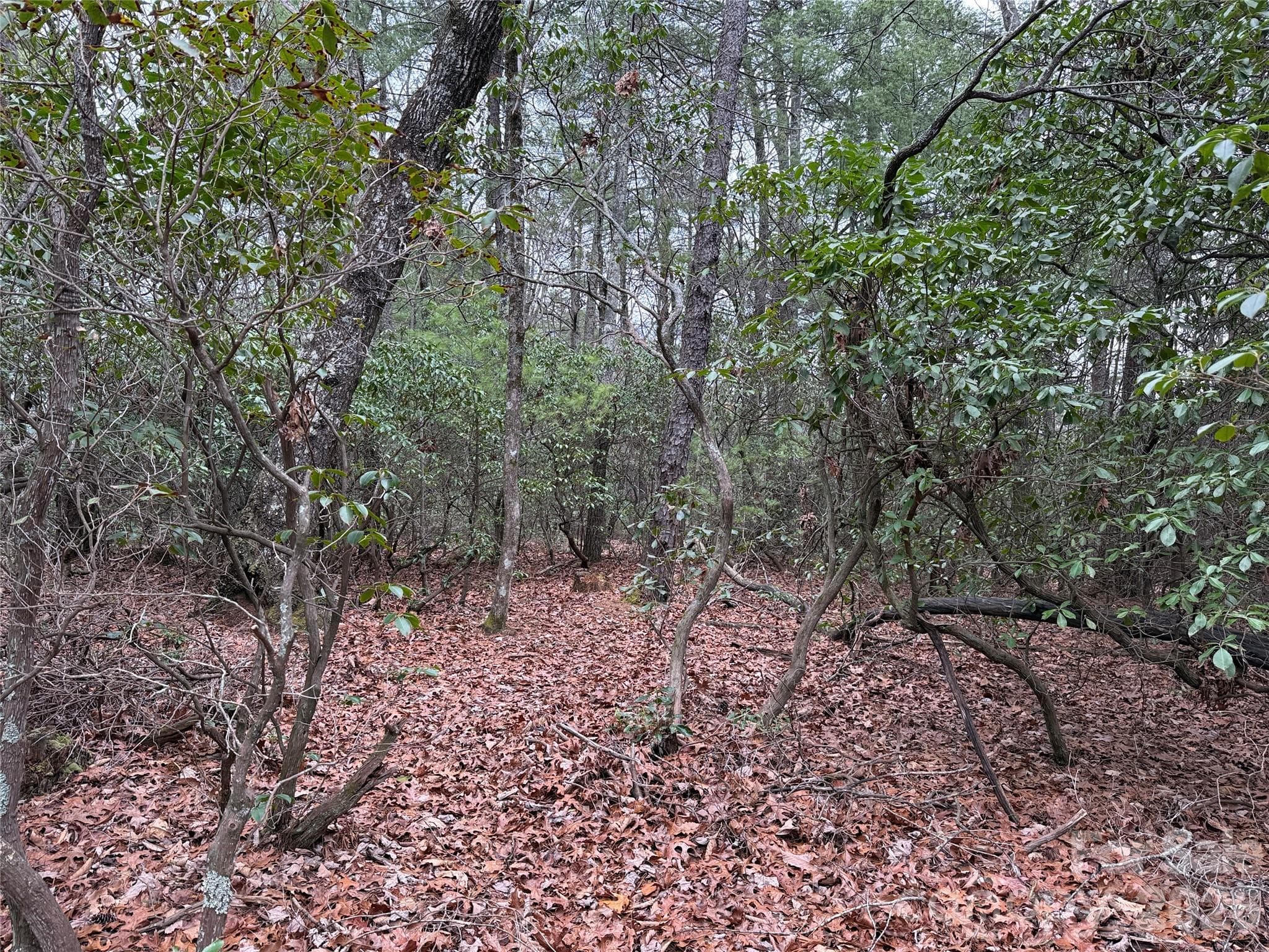 Lot at TBD Deer Antler Drive, Purlear, photo 10 of 39