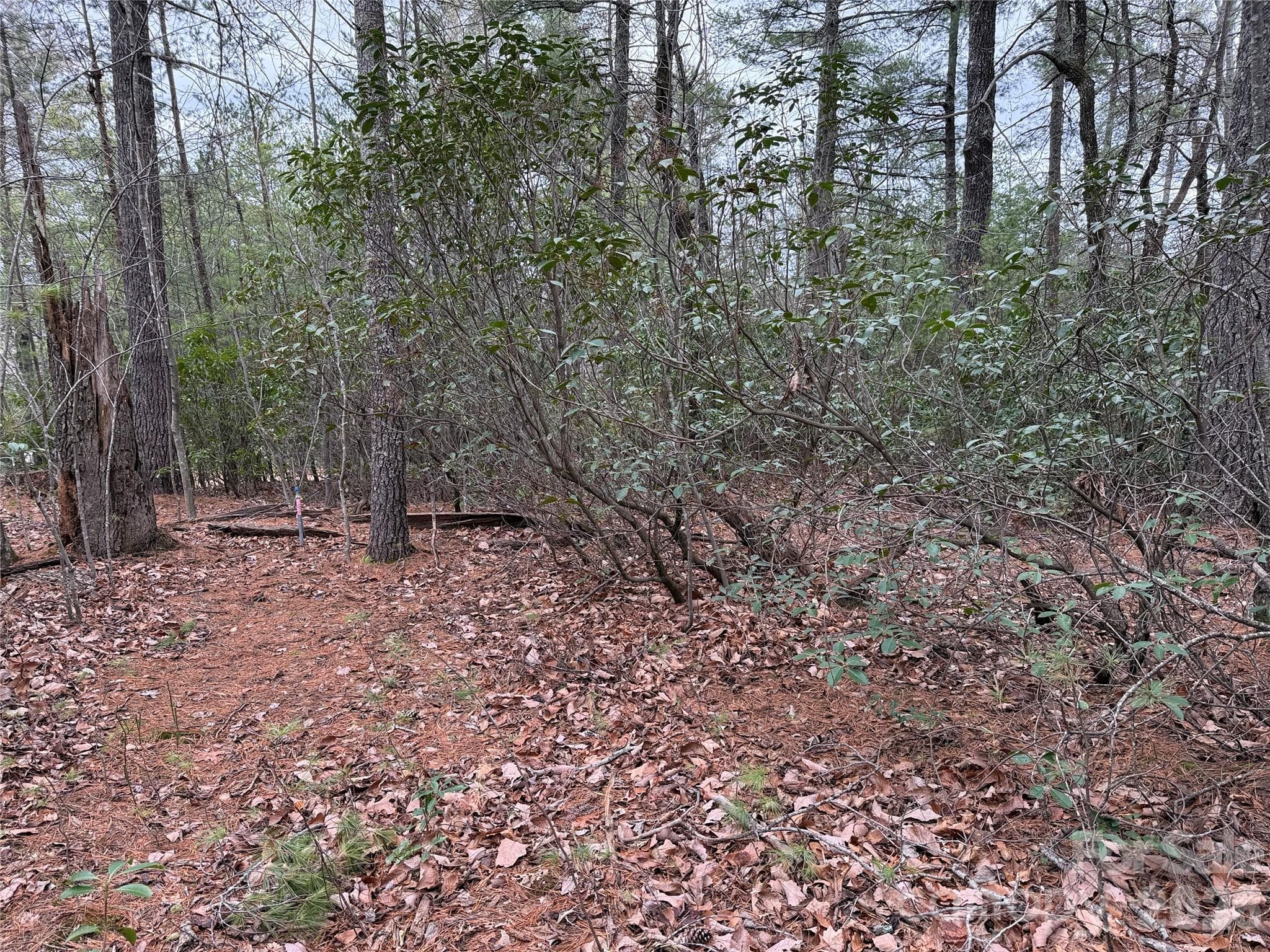 Lot at TBD Deer Antler Drive, Purlear, photo 11 of 39