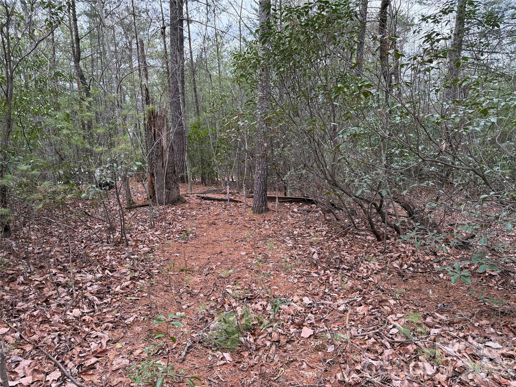 Lot at TBD Deer Antler Drive, Purlear, photo 12 of 39