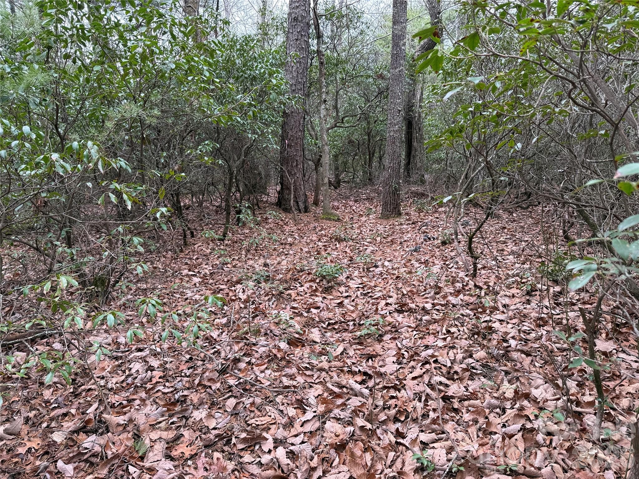 Lot at TBD Deer Antler Drive, Purlear, photo 13 of 39