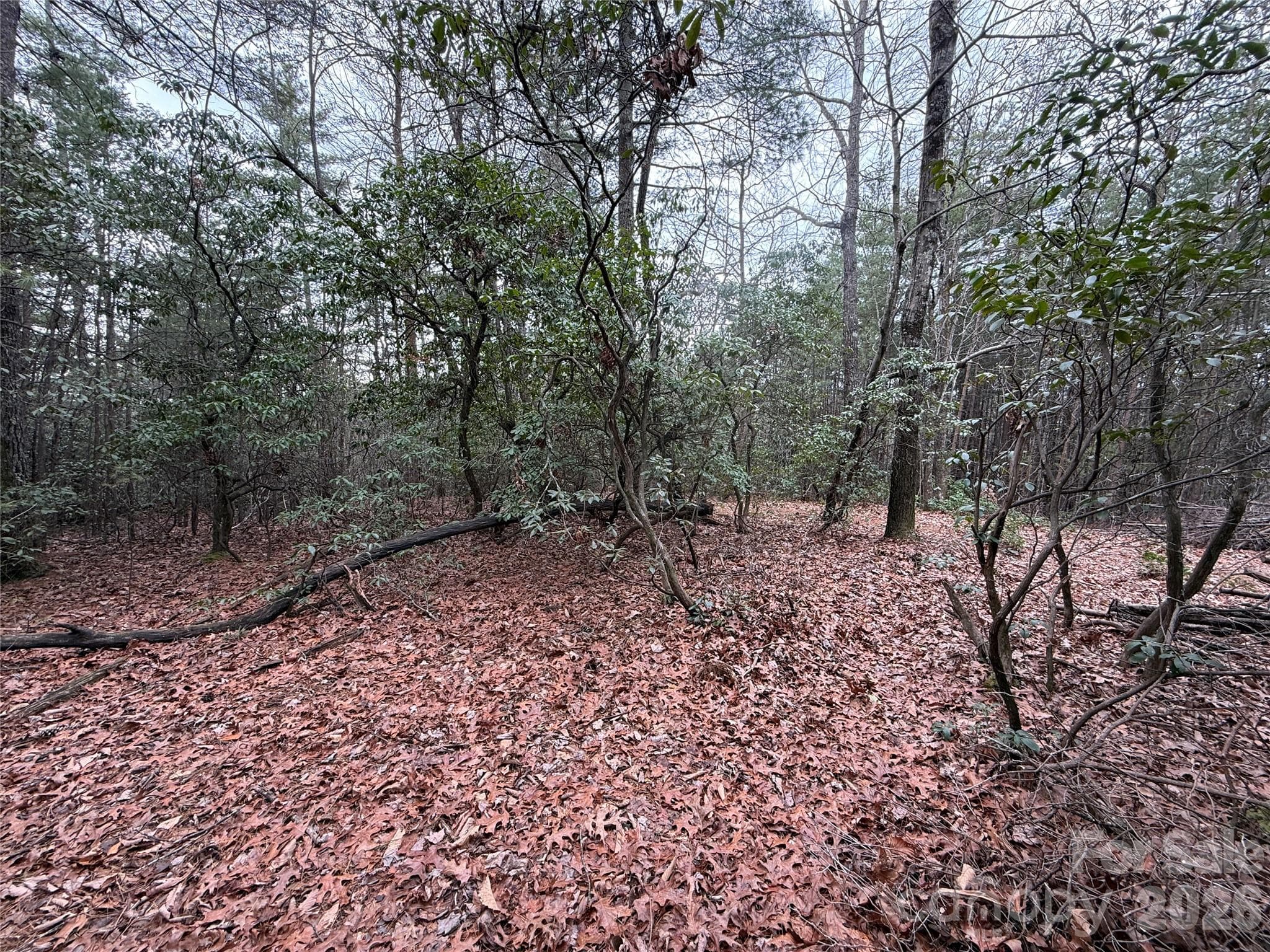 Lot at TBD Deer Antler Drive, Purlear, photo 14 of 39