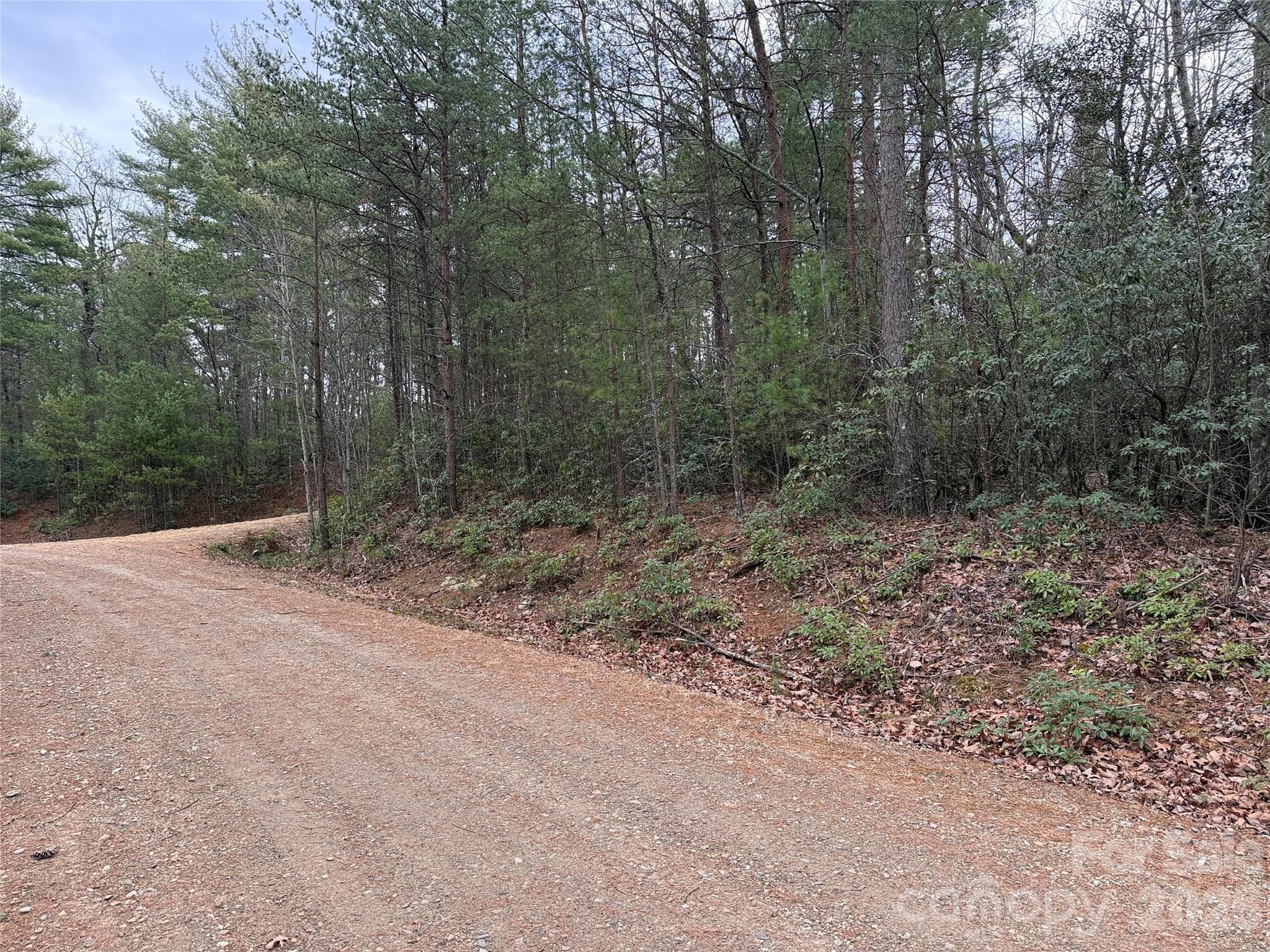 Well Maintained Road to Lot 82 - TBD Deer Antler Drive, Purlear