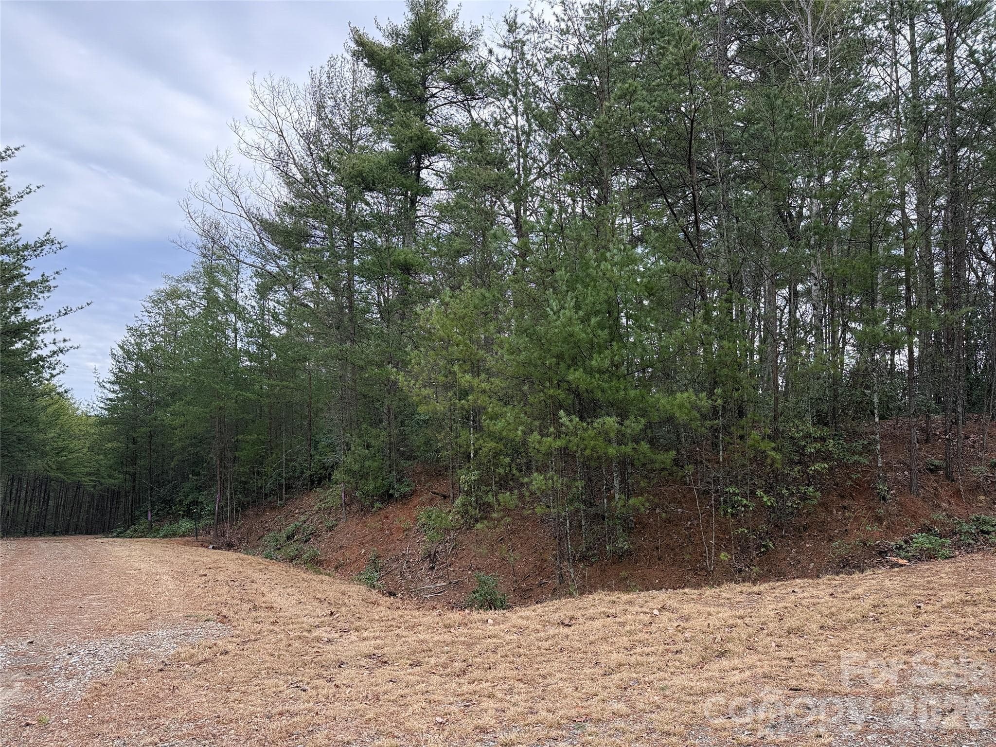 Lot at TBD Deer Antler Drive, Purlear, photo 16 of 39