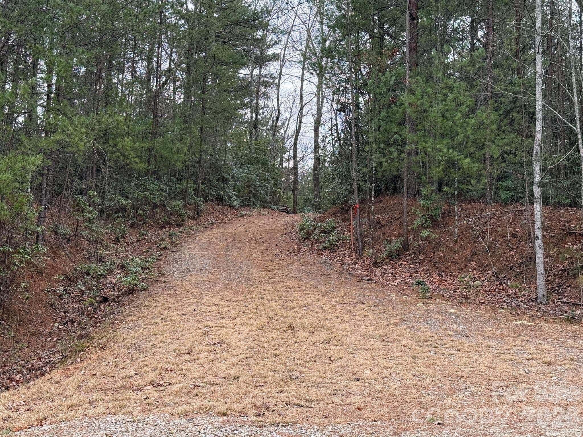 Driveway In Place - TBD Deer Antler Drive, Purlear
