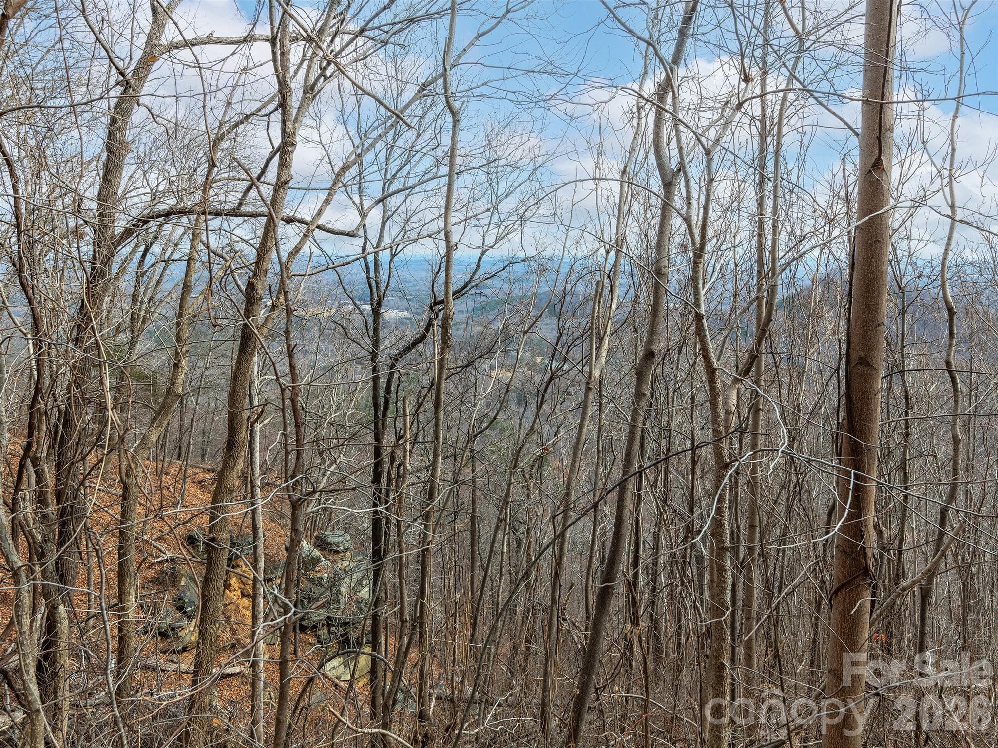 Lot at Lot 56 White Oak Mountain Road, Columbus, photo 6 of 10