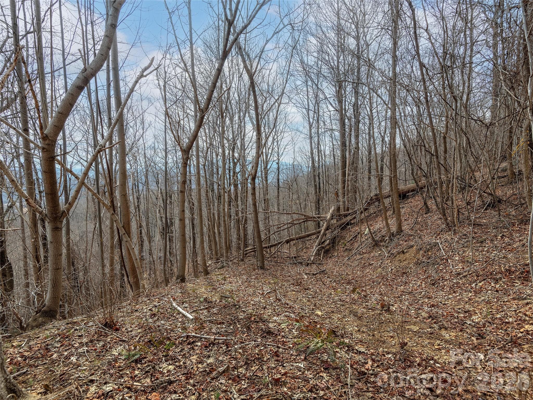 Lot at Lot 56 White Oak Mountain Road, Columbus, photo 7 of 10