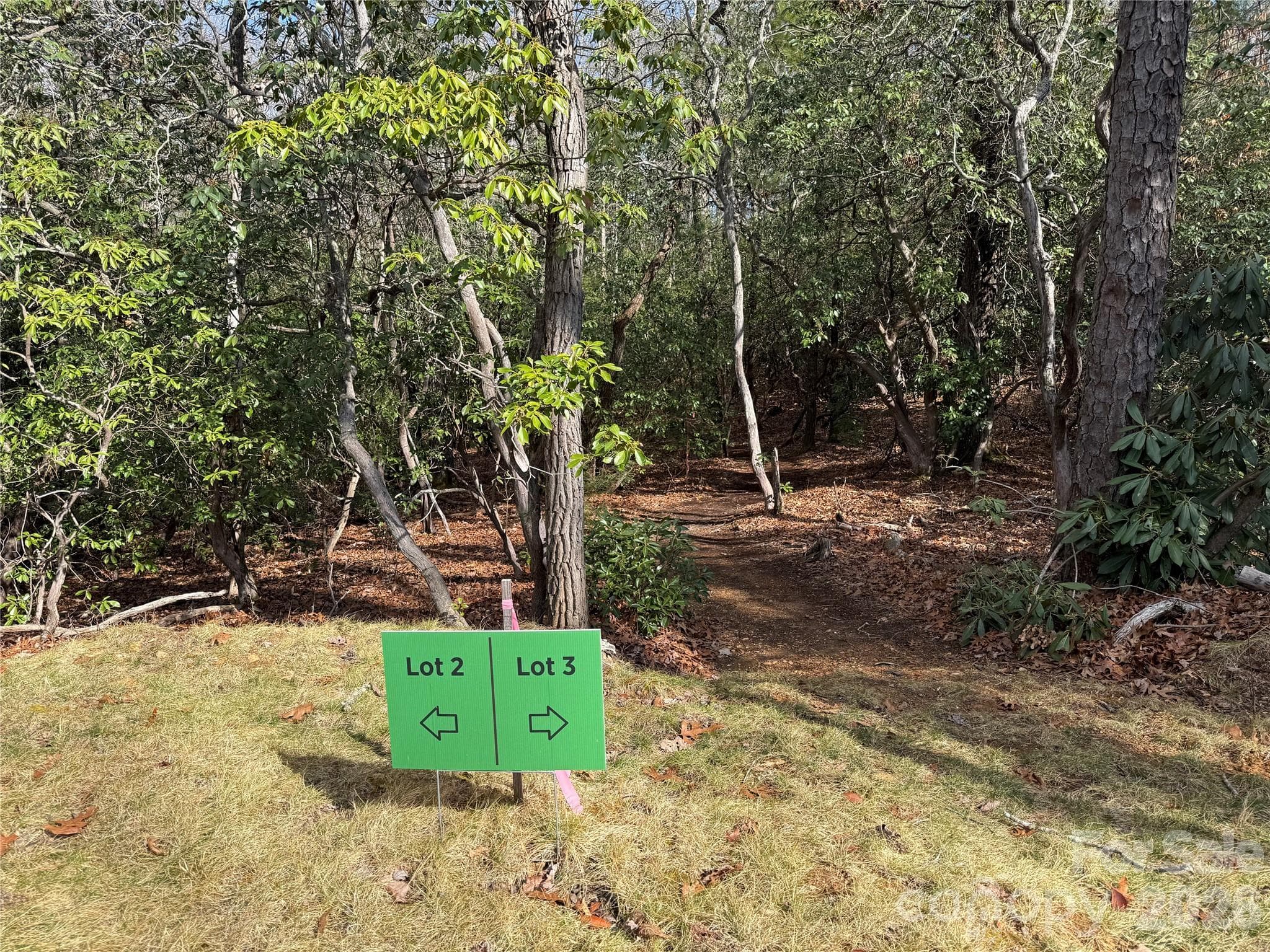 Lot at Tract 3 Turtle Ridge Trail, Mills River, photo 9 of 17