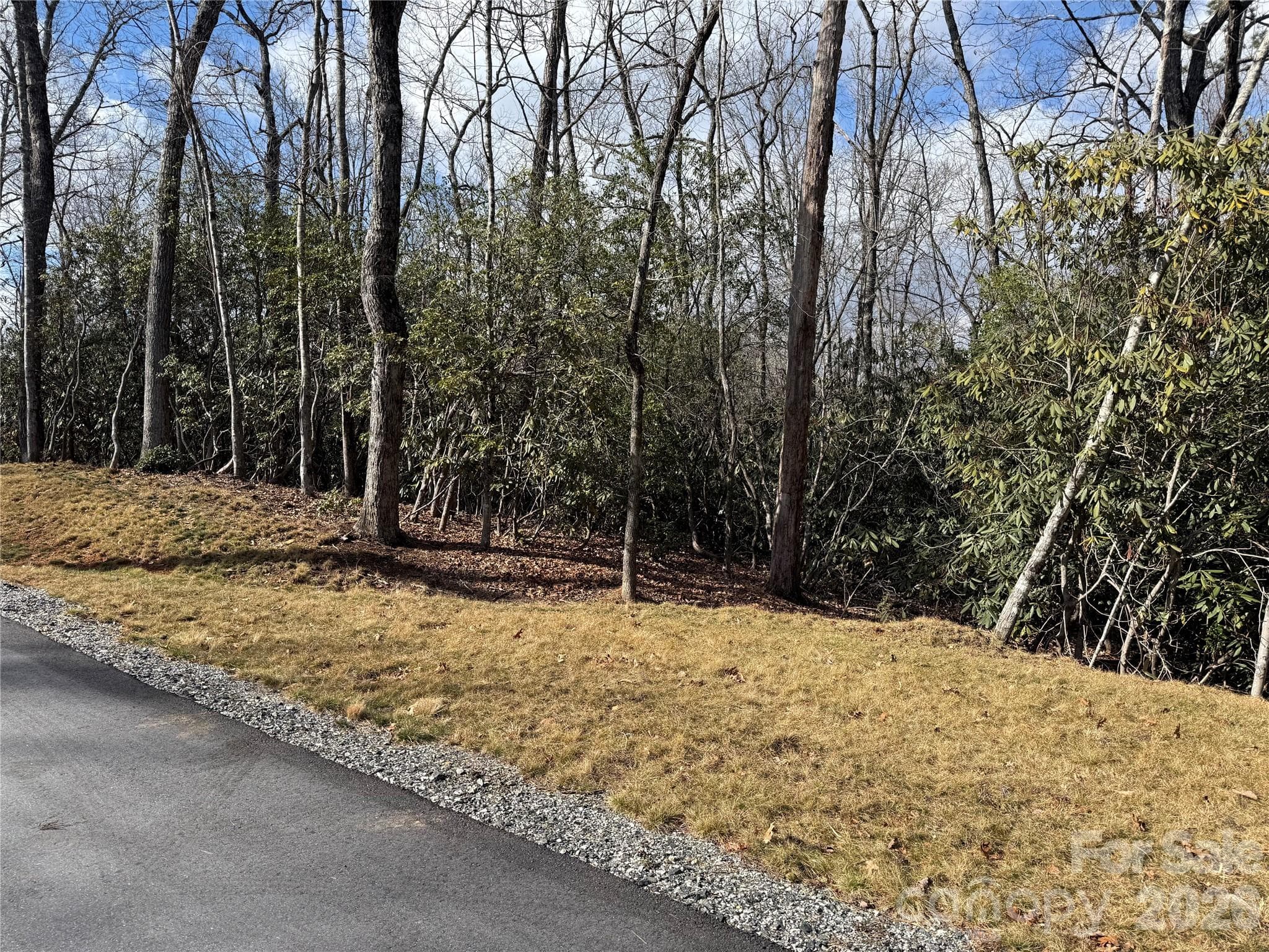 Lot at Tract 2 Turtle Ridge Trail, Mills River, photo 5 of 14