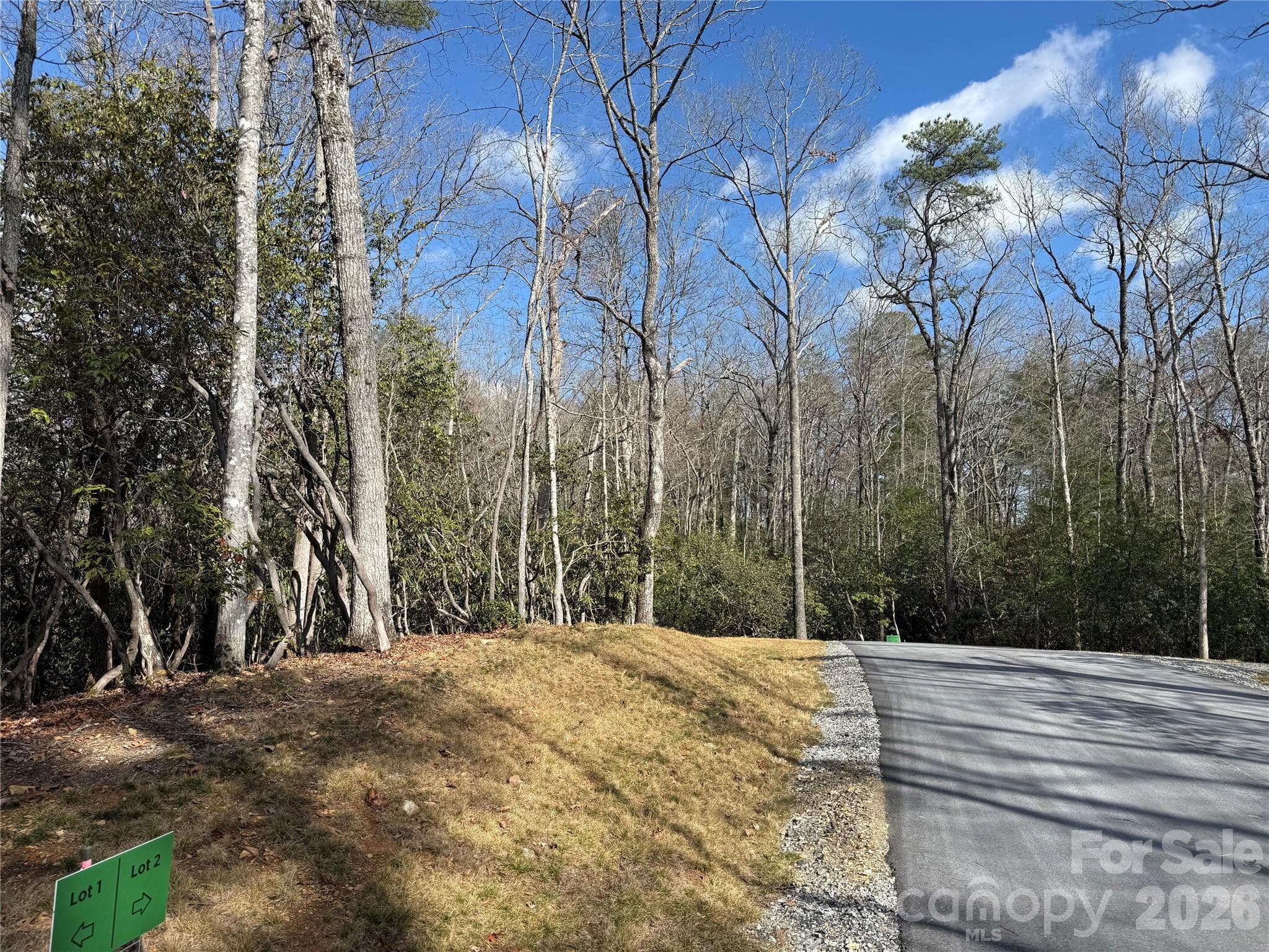 Lot 2 left side looking towards end of road - Tract 2 Turtle Ridge Trail, Mills River