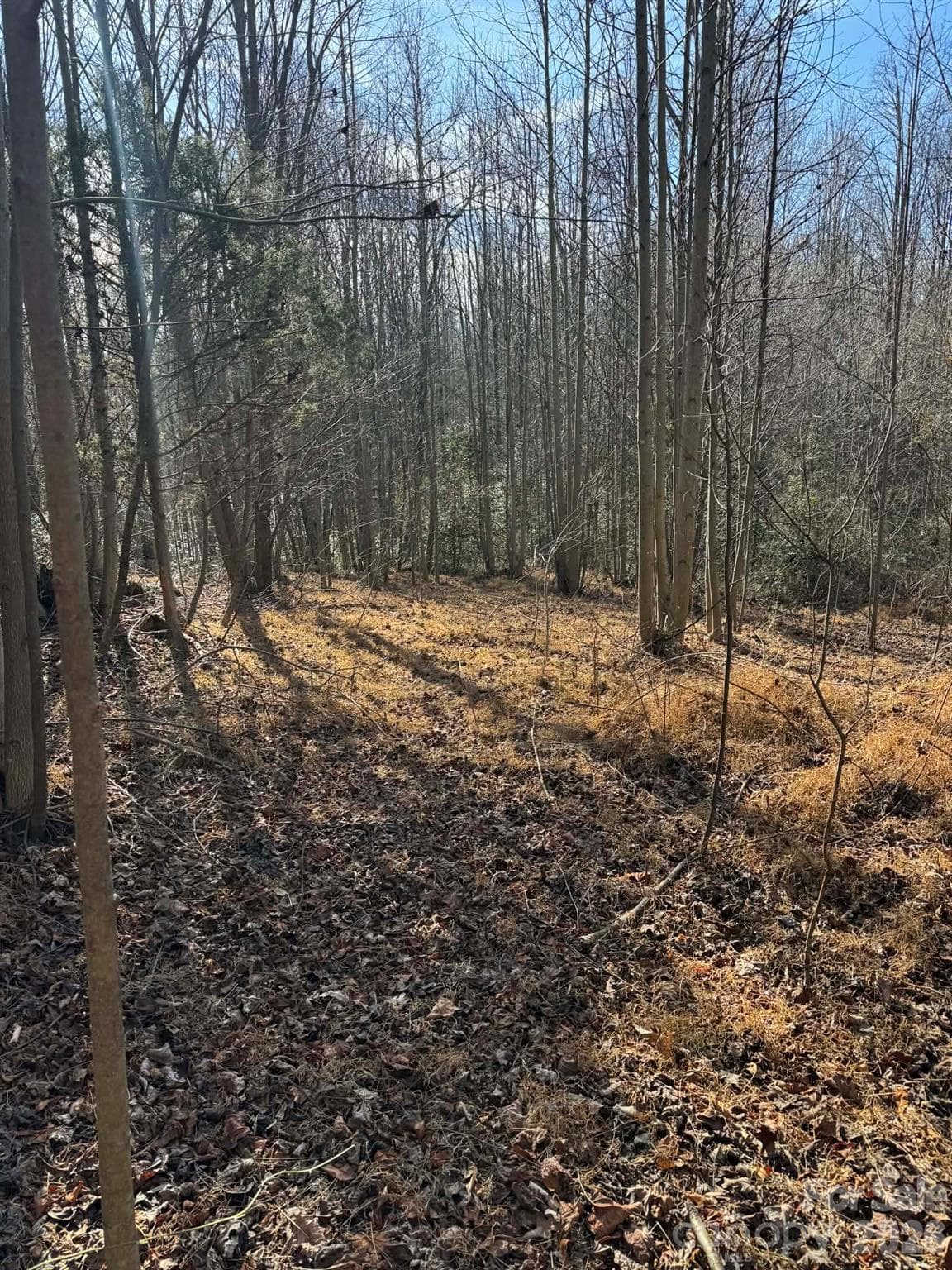Acreage at North Wilkesboro, photo 2 of 30