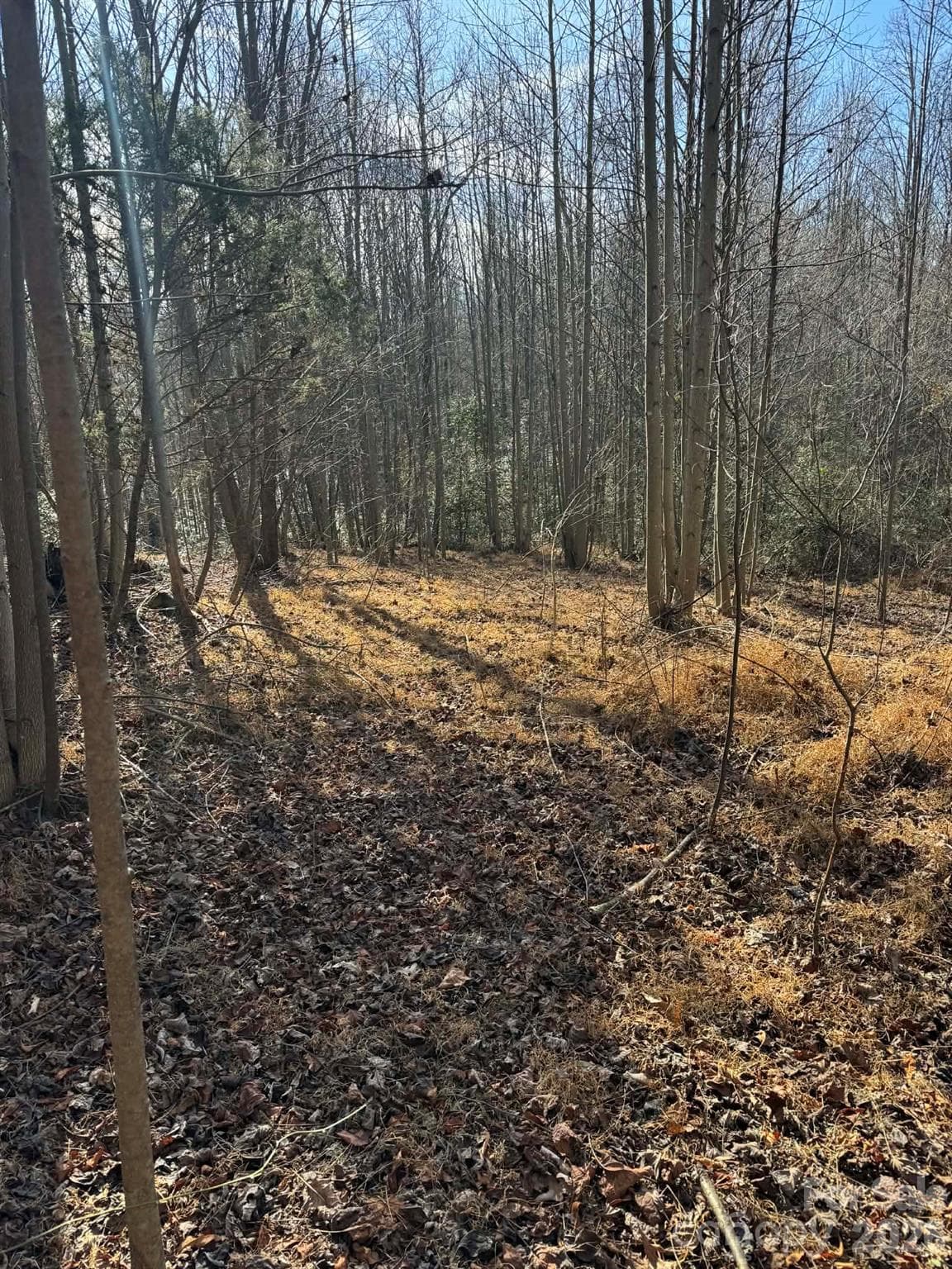 Acreage at North Wilkesboro, photo 3 of 30