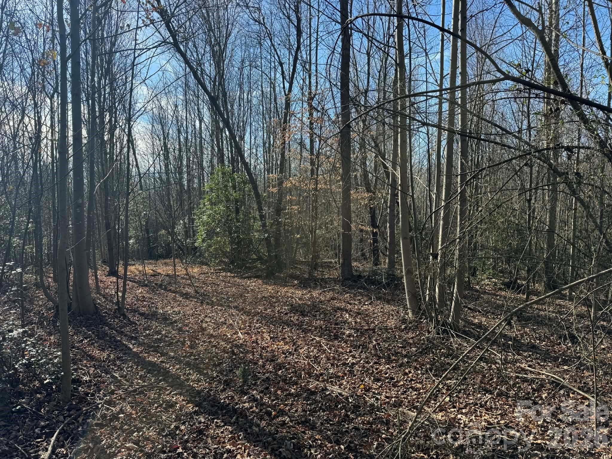 Acreage at North Wilkesboro, photo 4 of 30