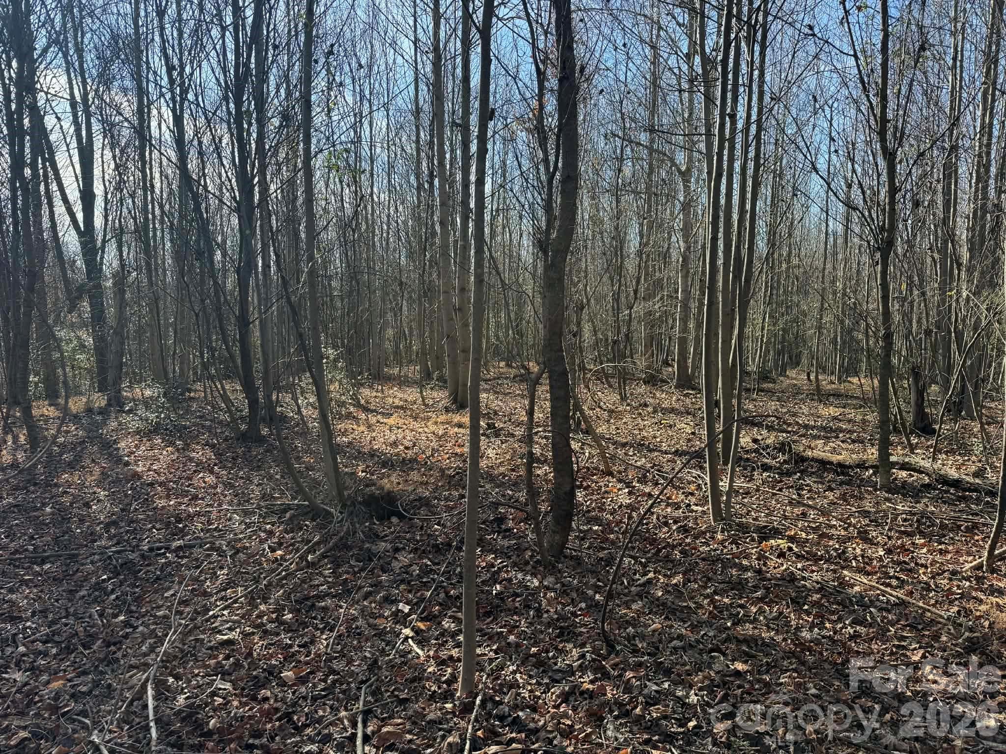 Acreage at North Wilkesboro, photo 5 of 30
