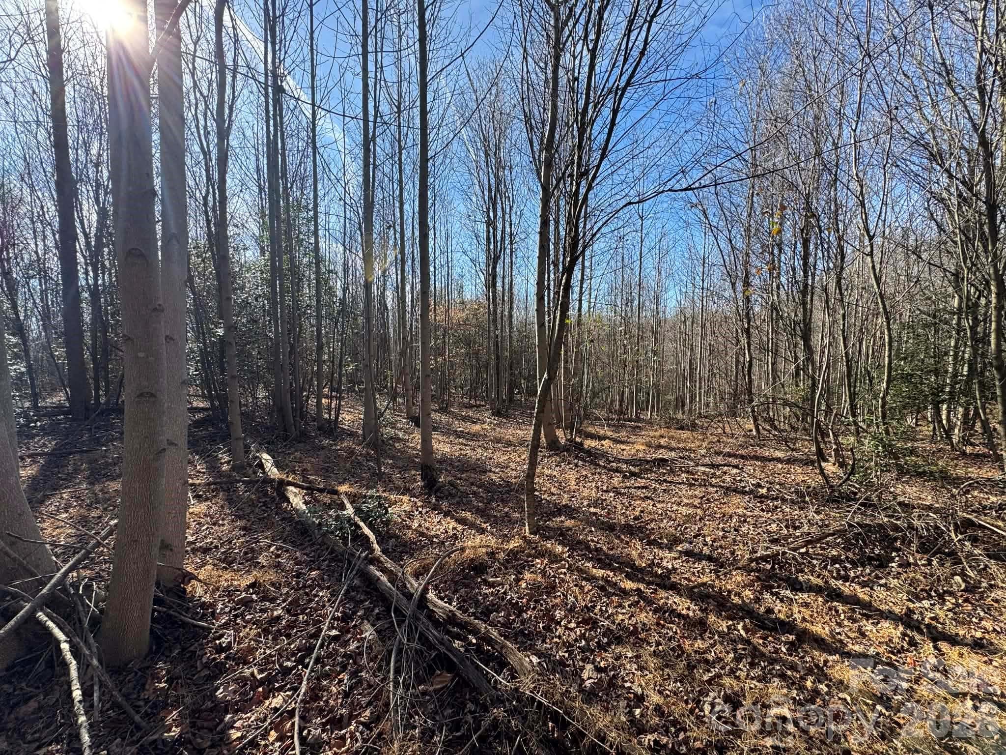 Acreage at North Wilkesboro, photo 6 of 30