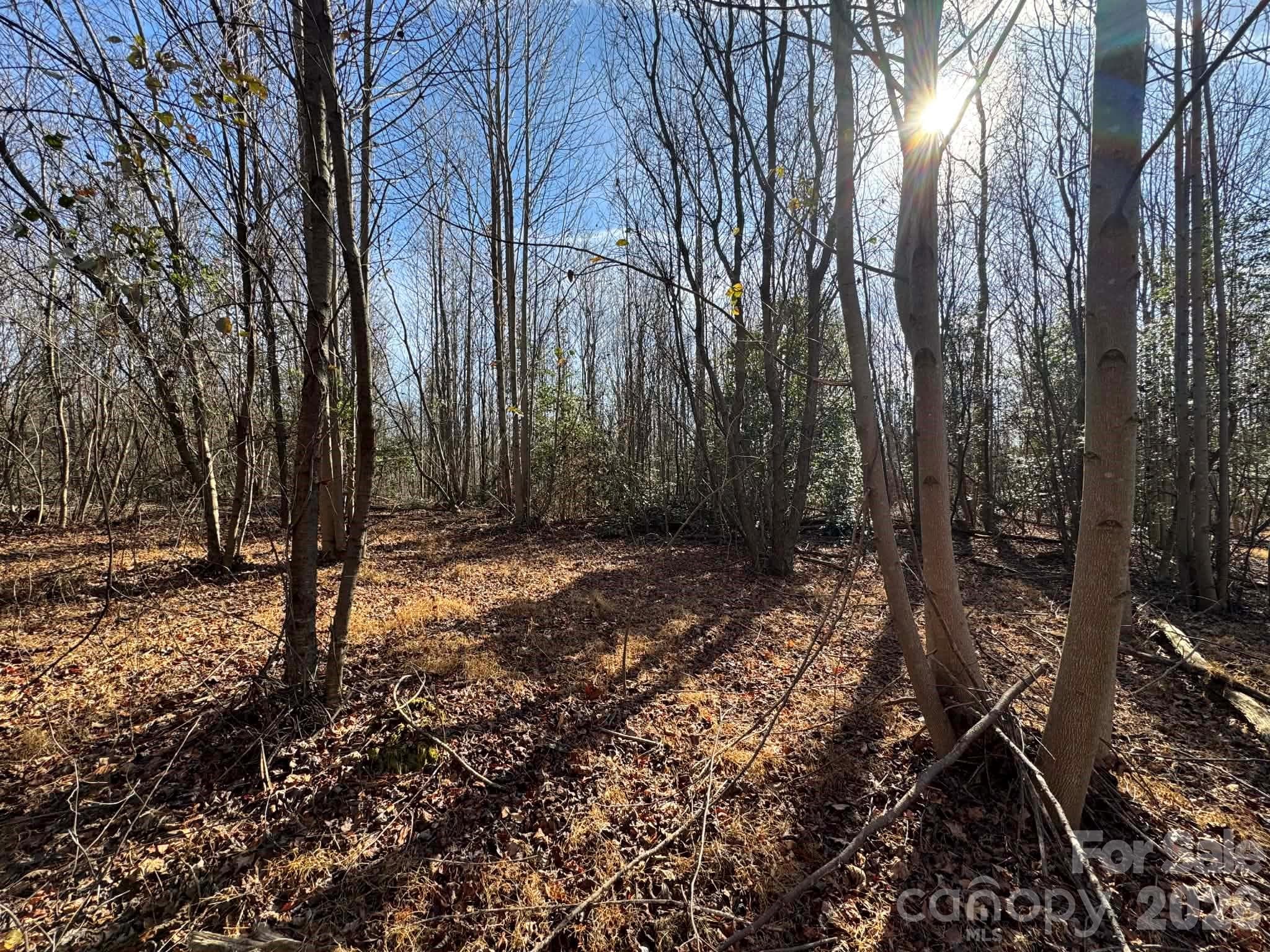 Acreage at North Wilkesboro, photo 7 of 30