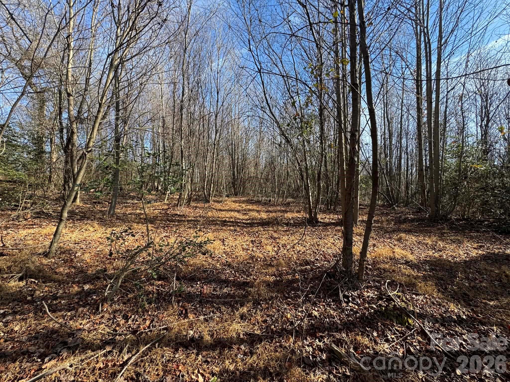 Acreage at North Wilkesboro, photo 8 of 30
