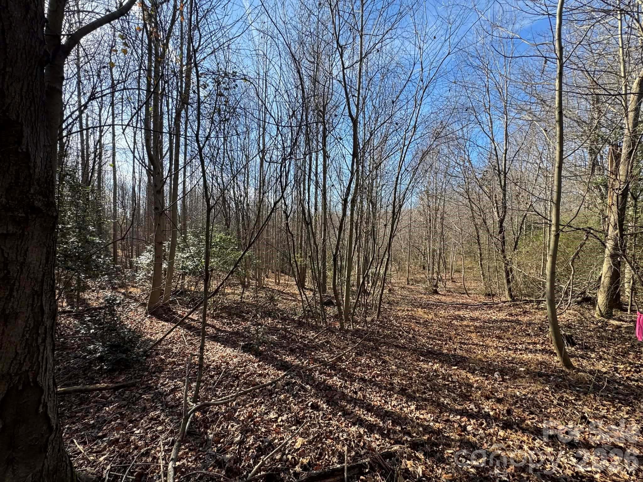Acreage at North Wilkesboro, photo 9 of 30