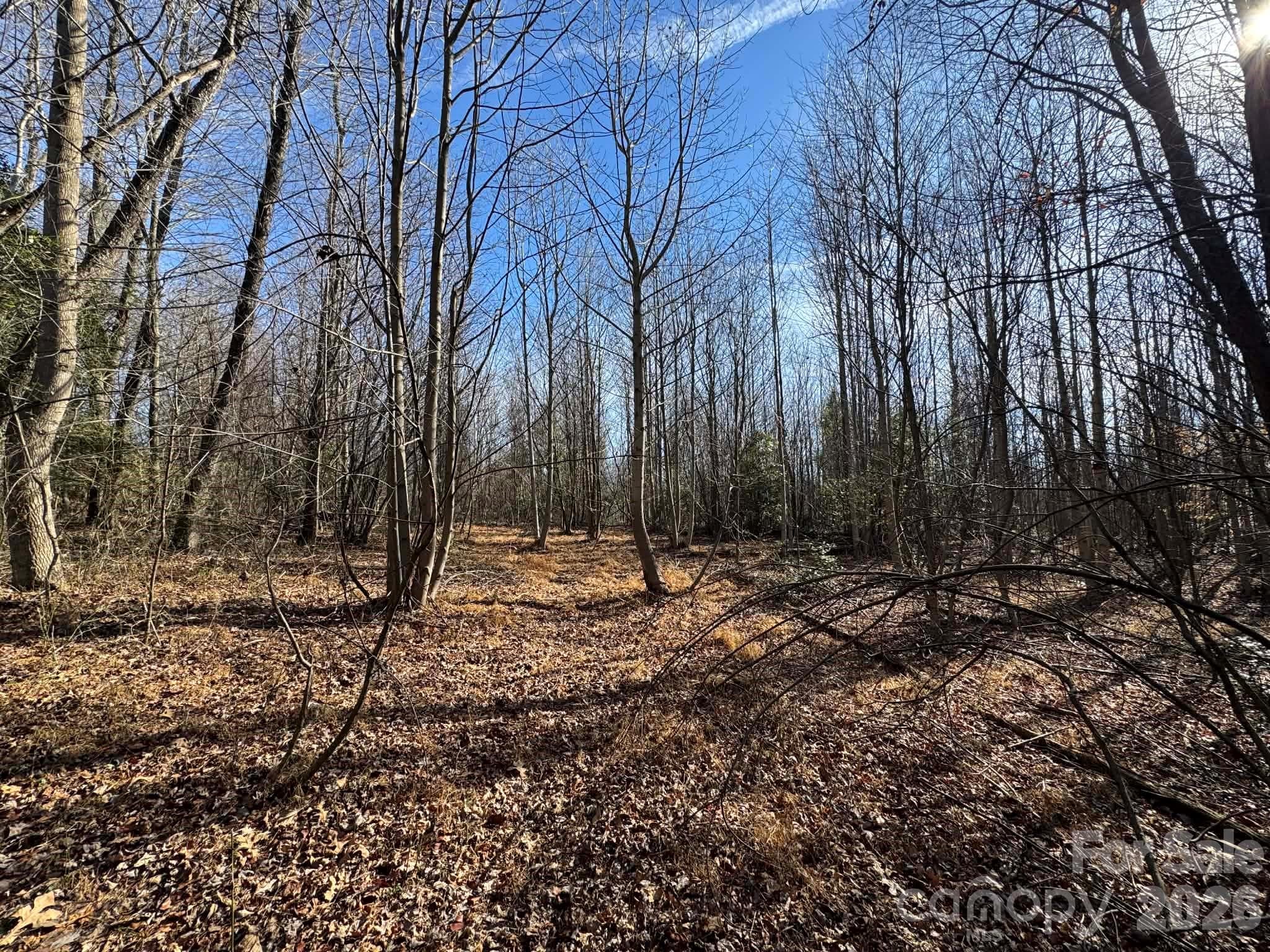Acreage at North Wilkesboro, photo 10 of 30