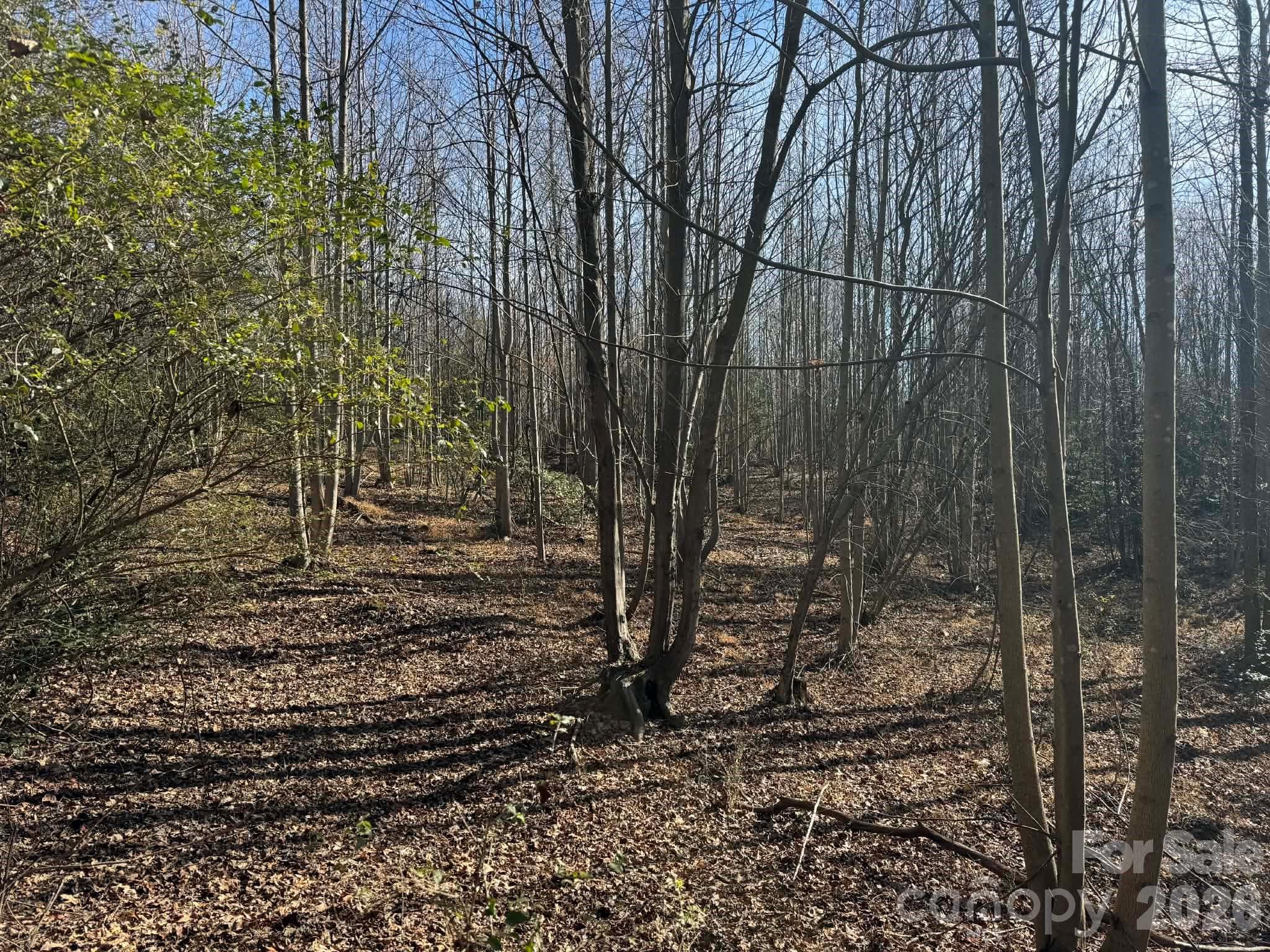 Acreage at North Wilkesboro, photo 11 of 30