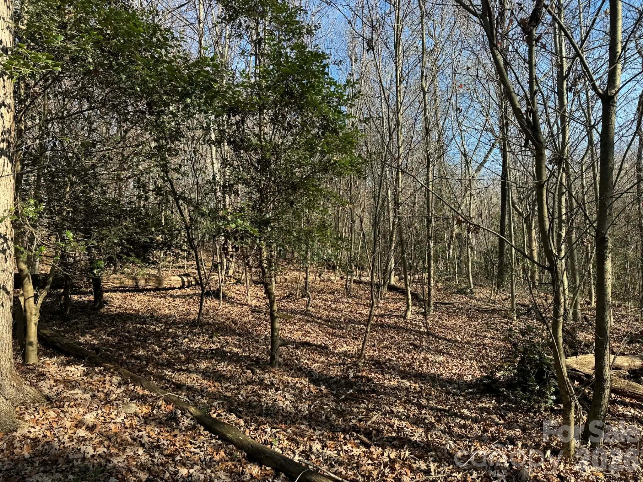 Acreage at North Wilkesboro, photo 12 of 30