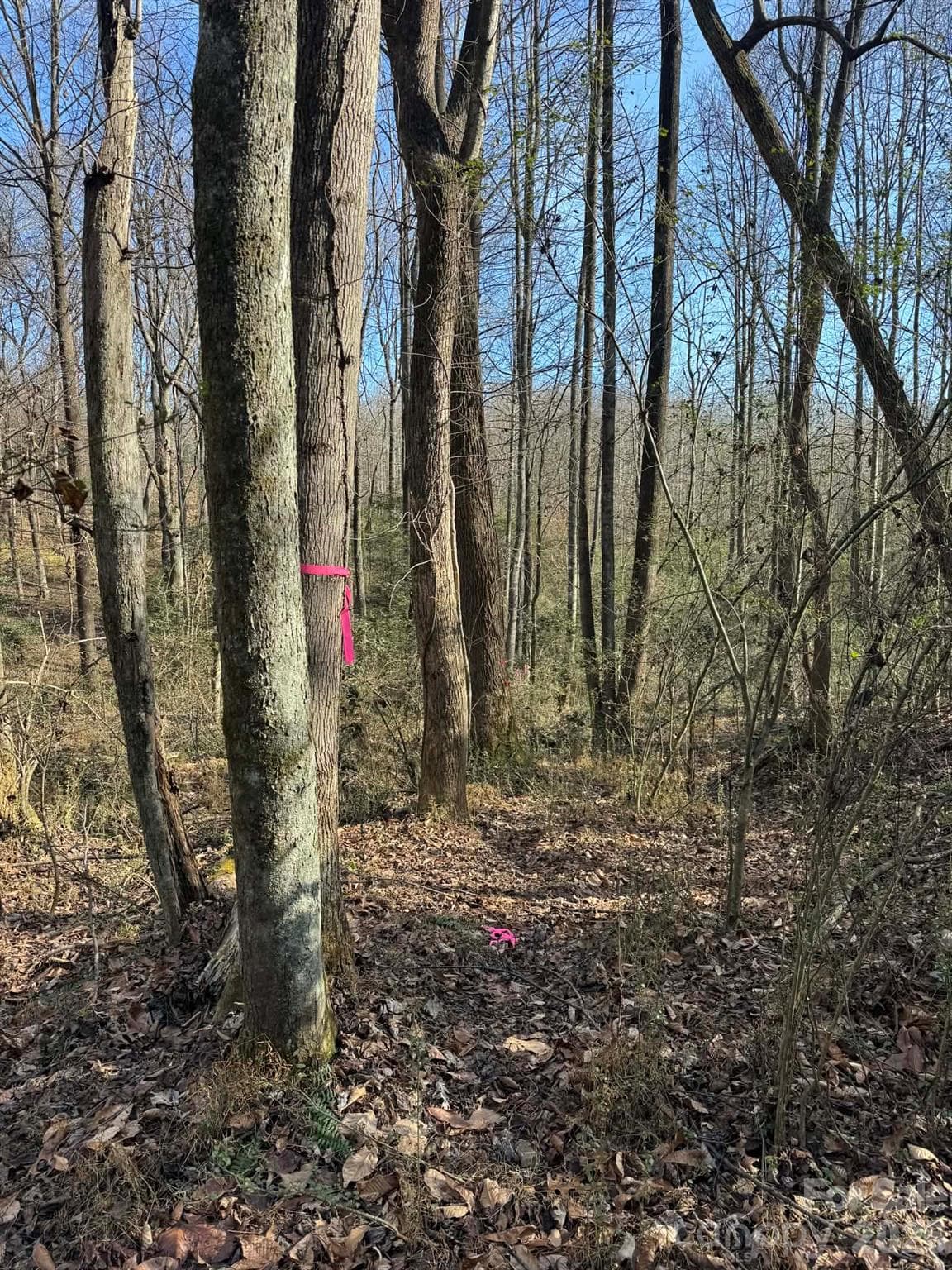 Acreage at North Wilkesboro, photo 13 of 30