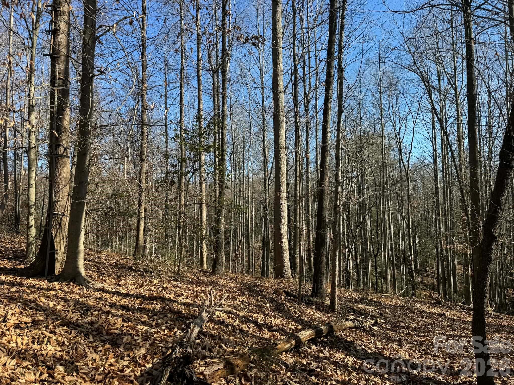 Acreage at North Wilkesboro, photo 15 of 30