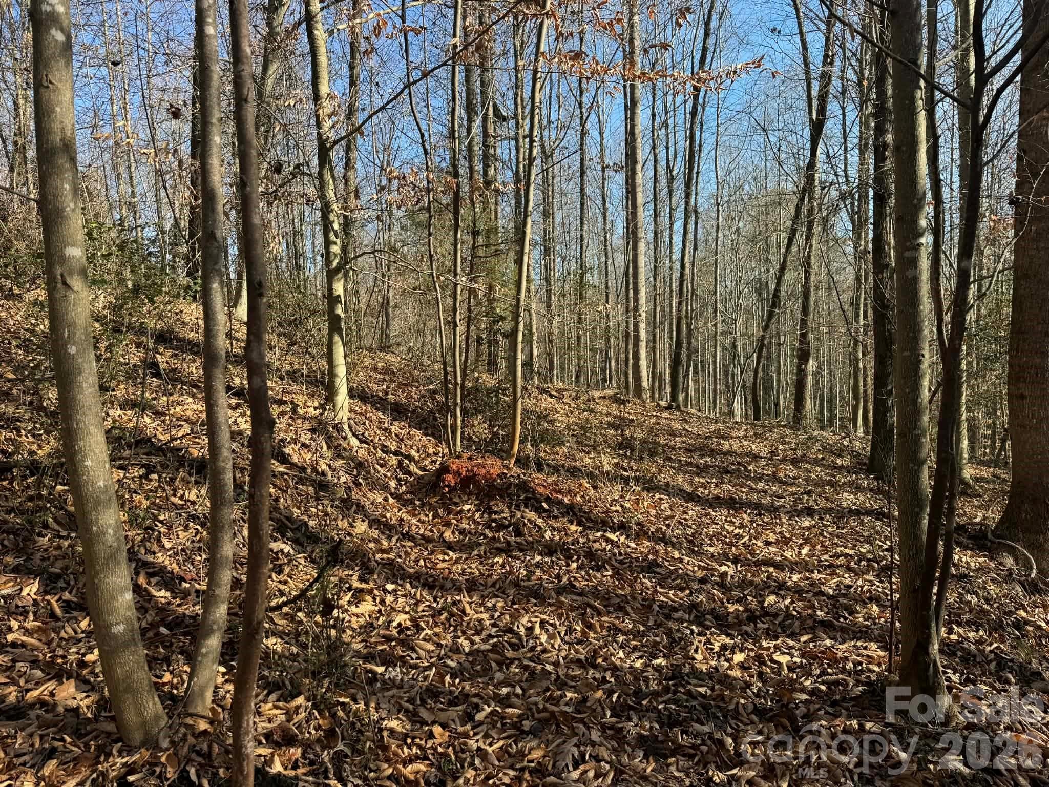 Acreage at North Wilkesboro, photo 16 of 30