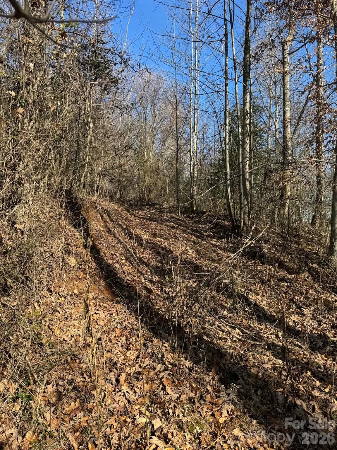 Acreage at North Wilkesboro, photo 17 of 30