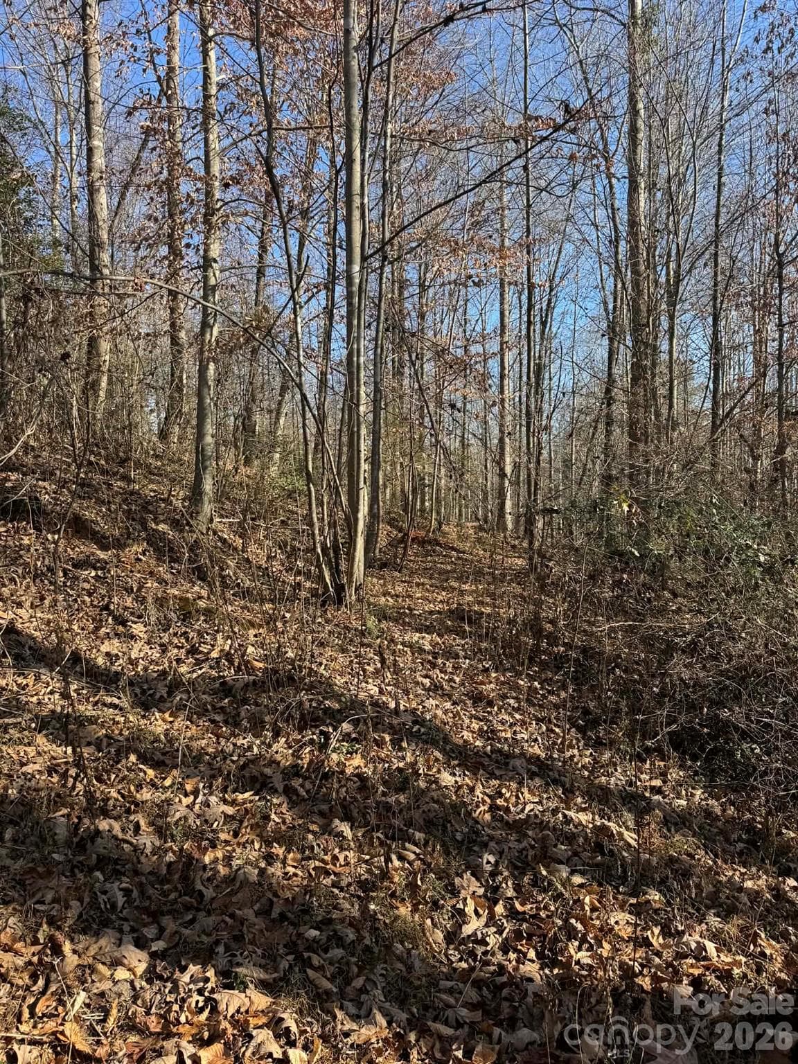 Acreage at North Wilkesboro, photo 18 of 30