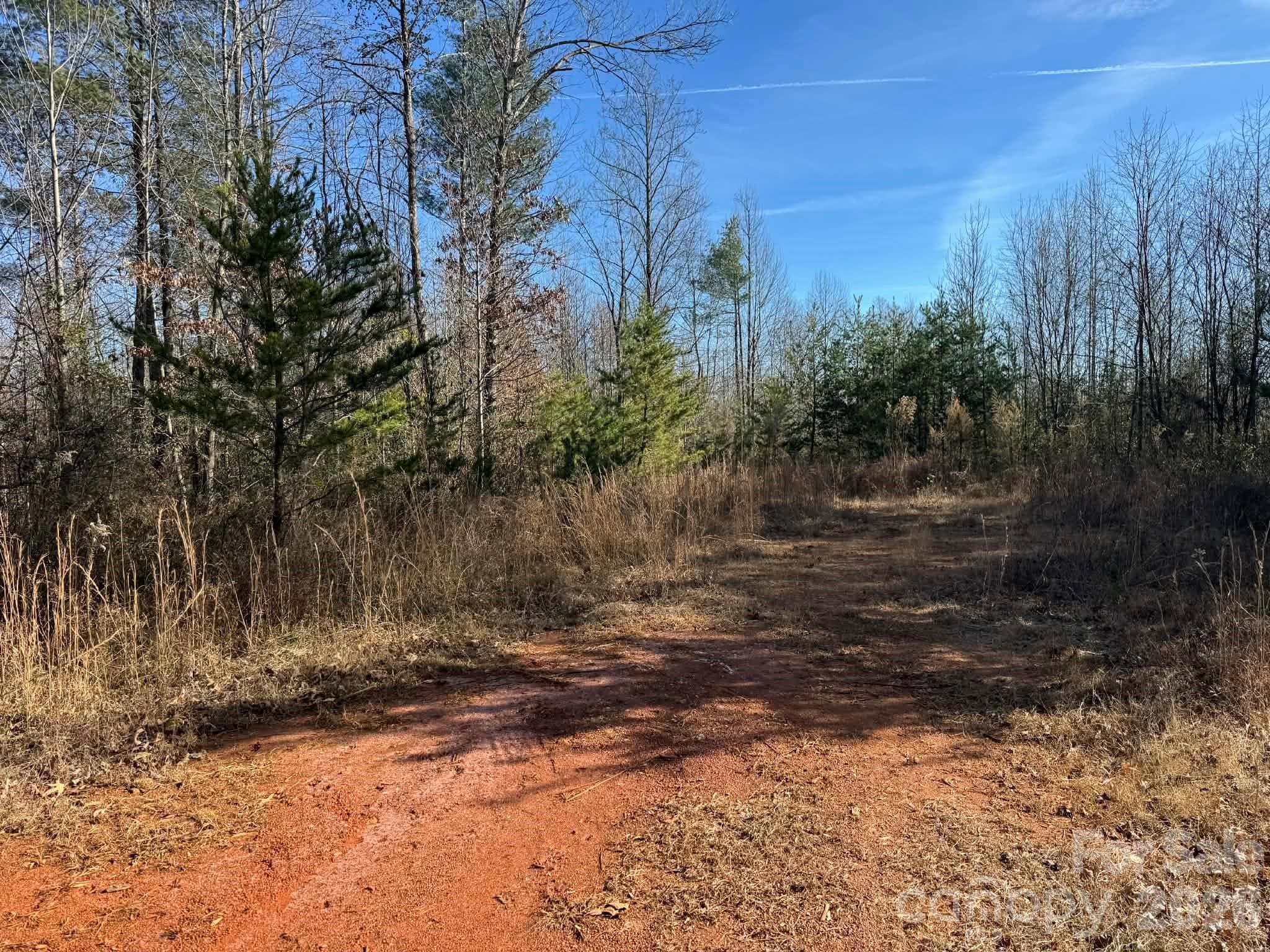 Acreage at North Wilkesboro, photo 19 of 30