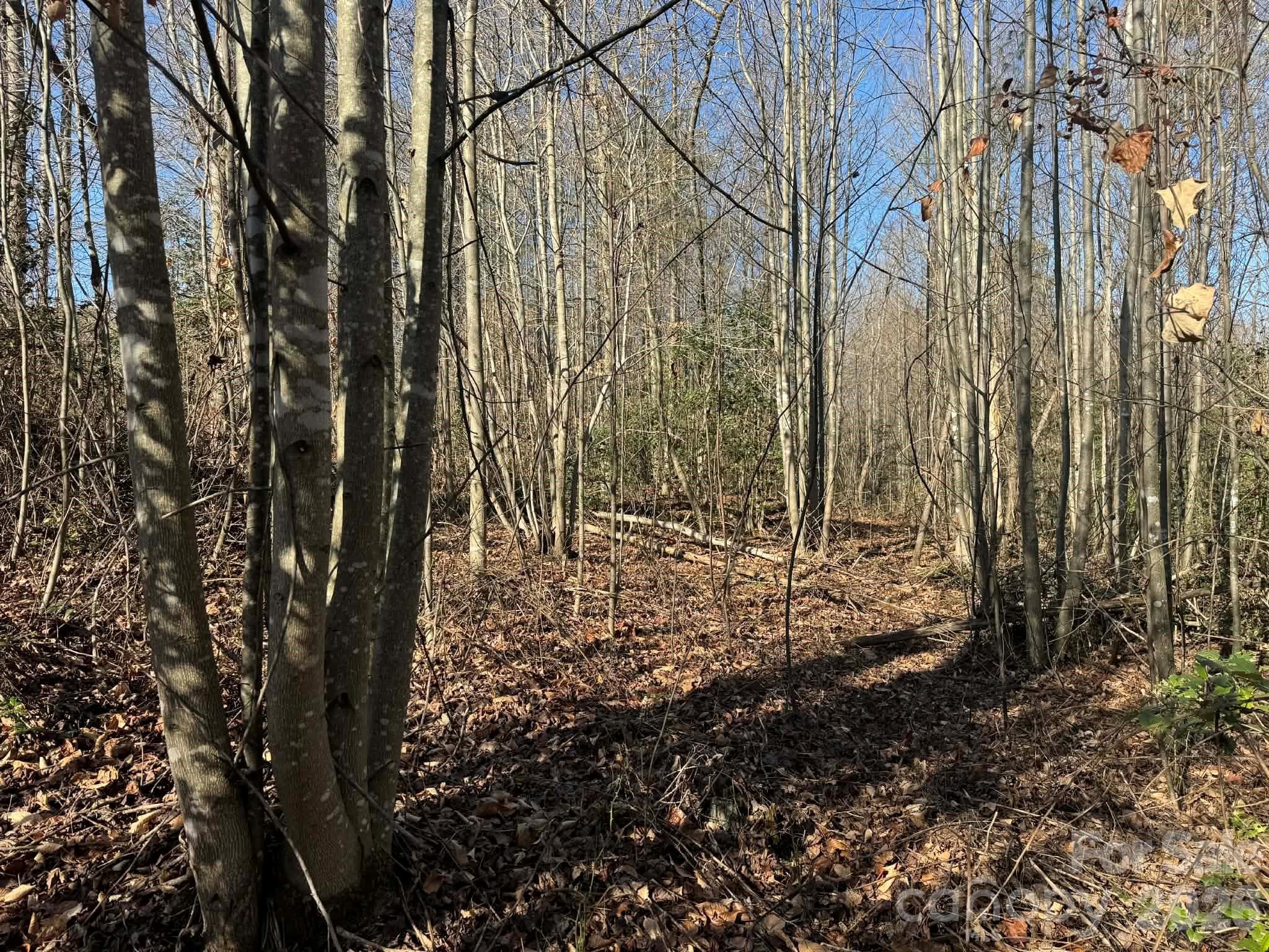 Acreage at North Wilkesboro, photo 23 of 30