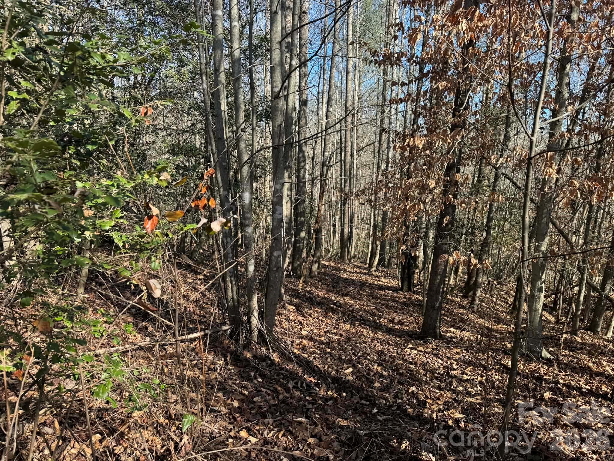 Acreage at North Wilkesboro, photo 24 of 30