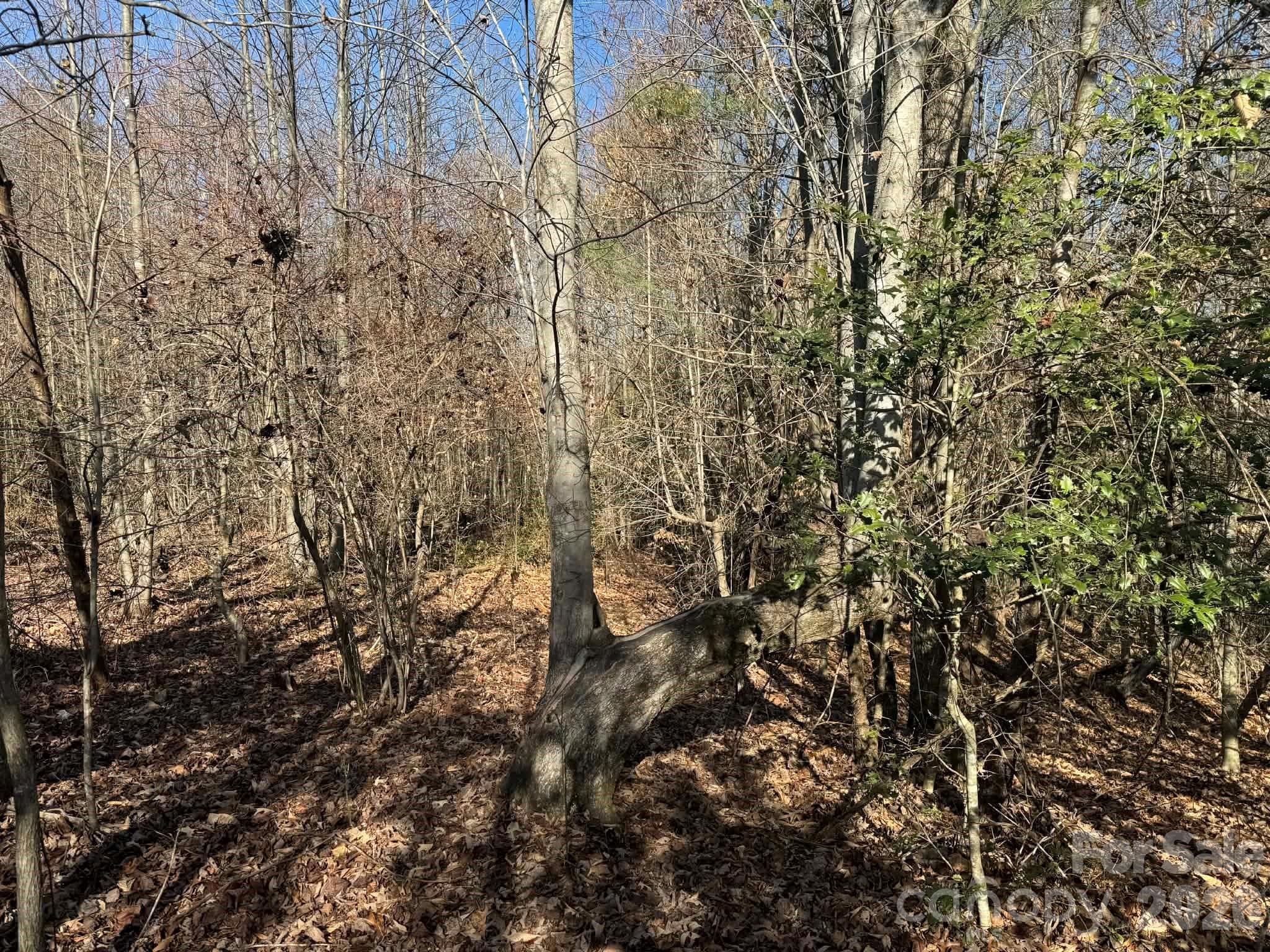 Acreage at North Wilkesboro, photo 25 of 30