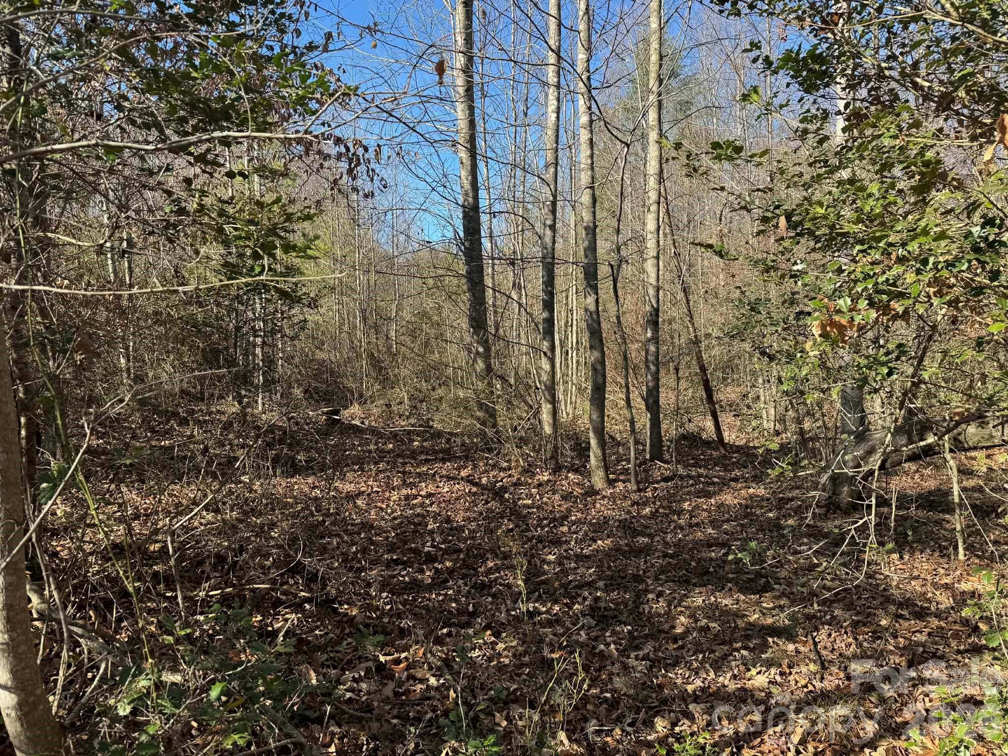 Acreage at North Wilkesboro, photo 26 of 30