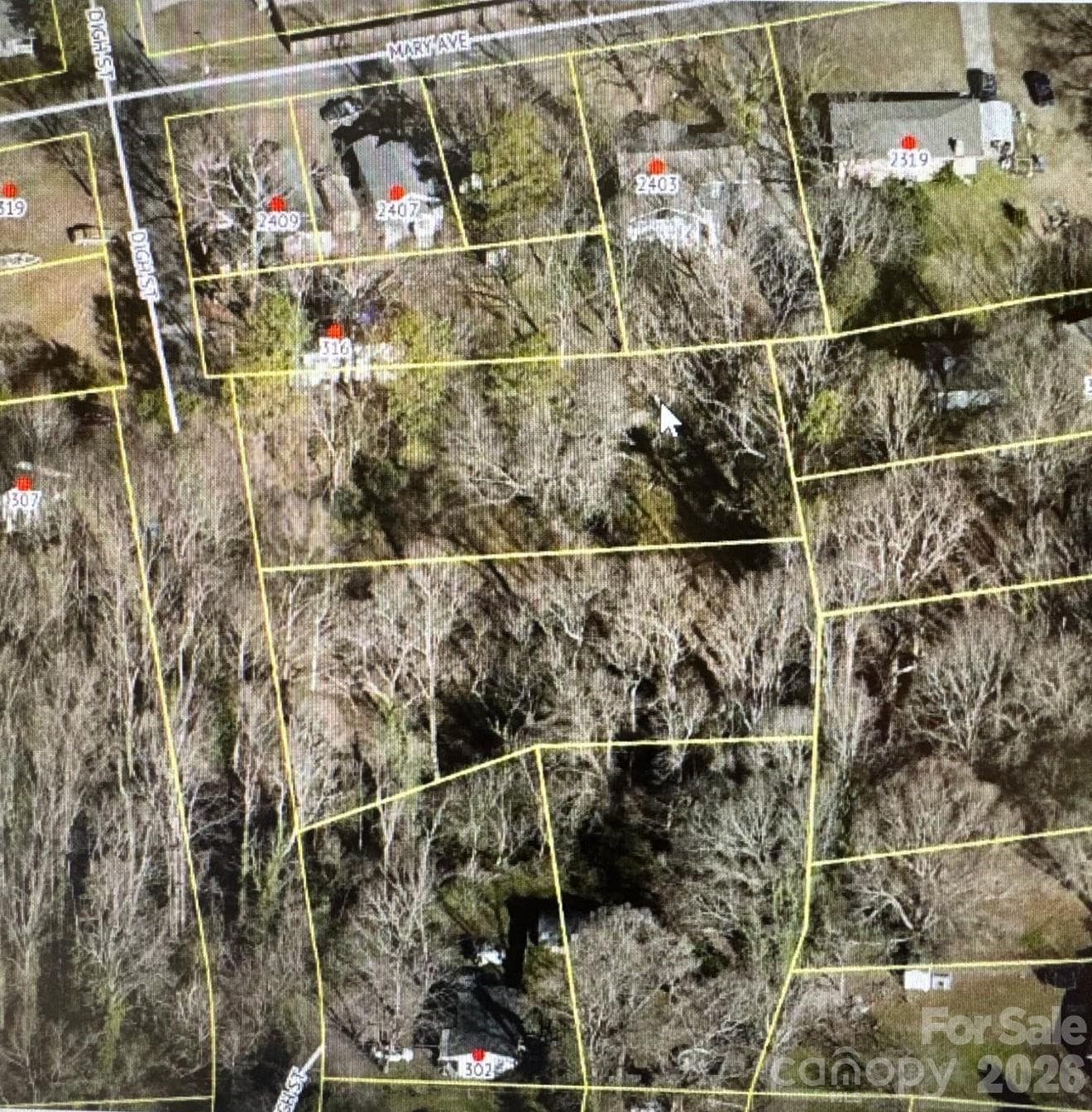 Lot at 2405 Mary Avenue, Gaston, photo 2 of 7
